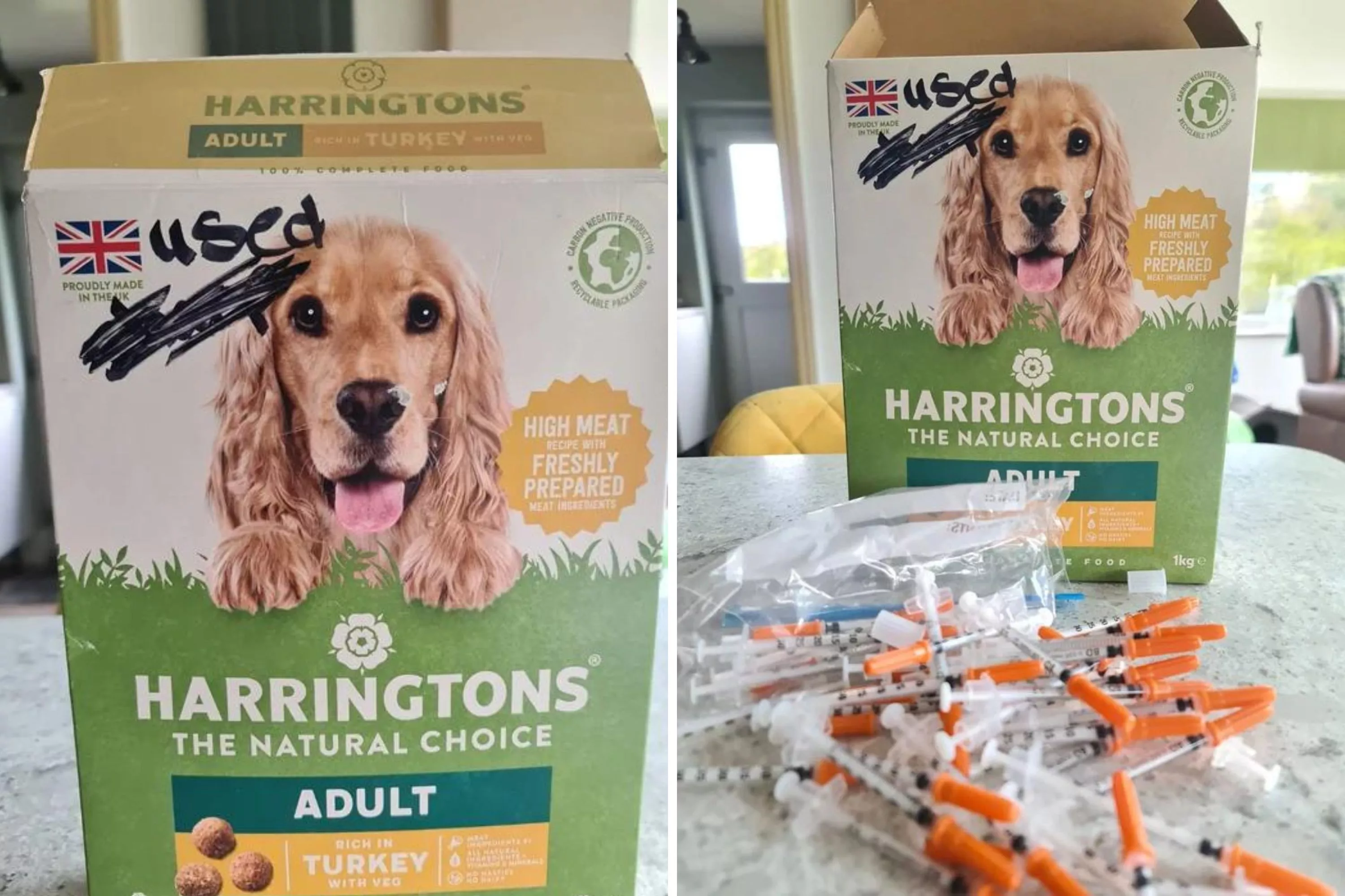 Dog Food Bank Excited to Receive Donation of Treats, Then They Open the Box - Vimarsana News