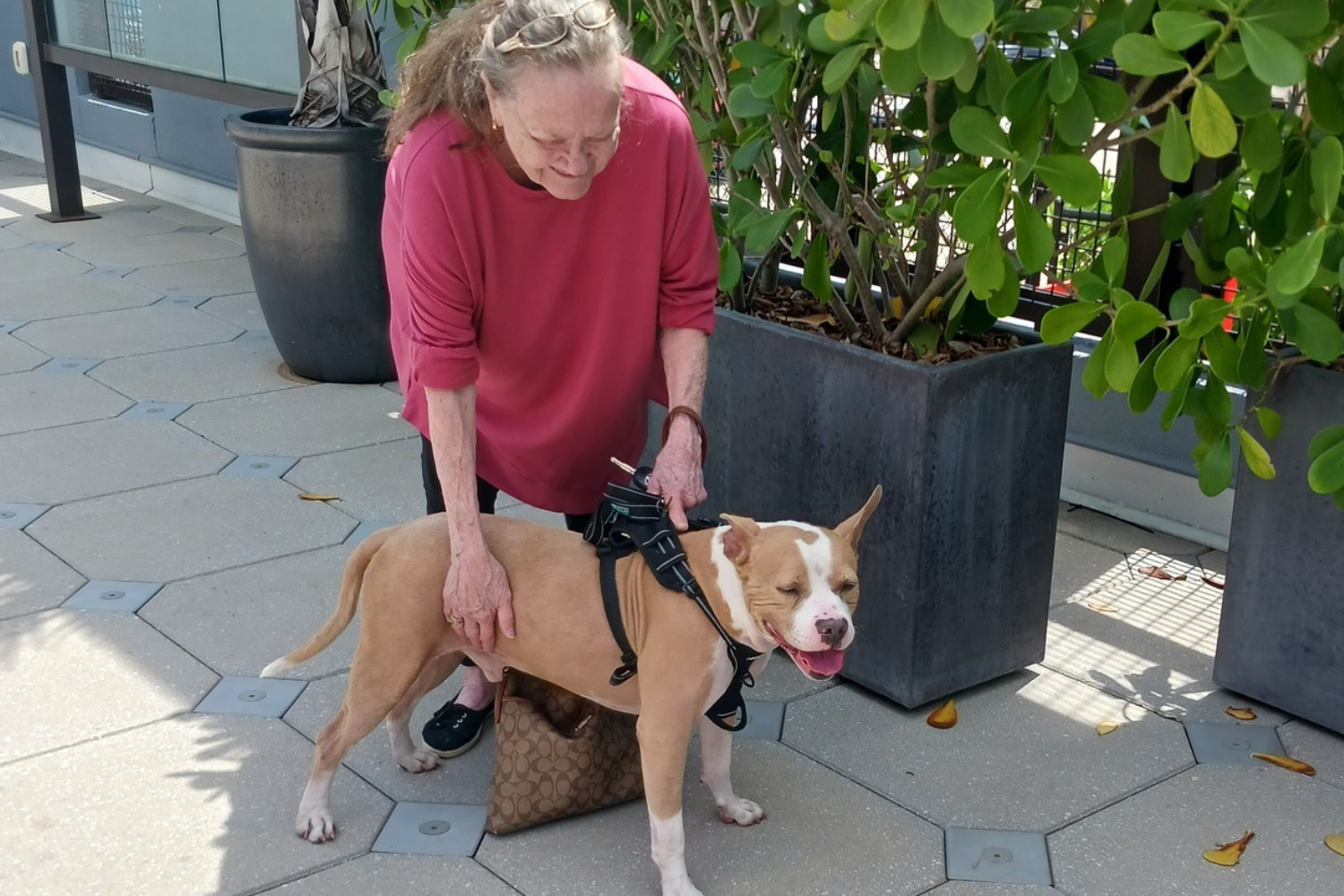 Dog in Shelter for 100 Days Almost Lost Hope, Then Everything Changed