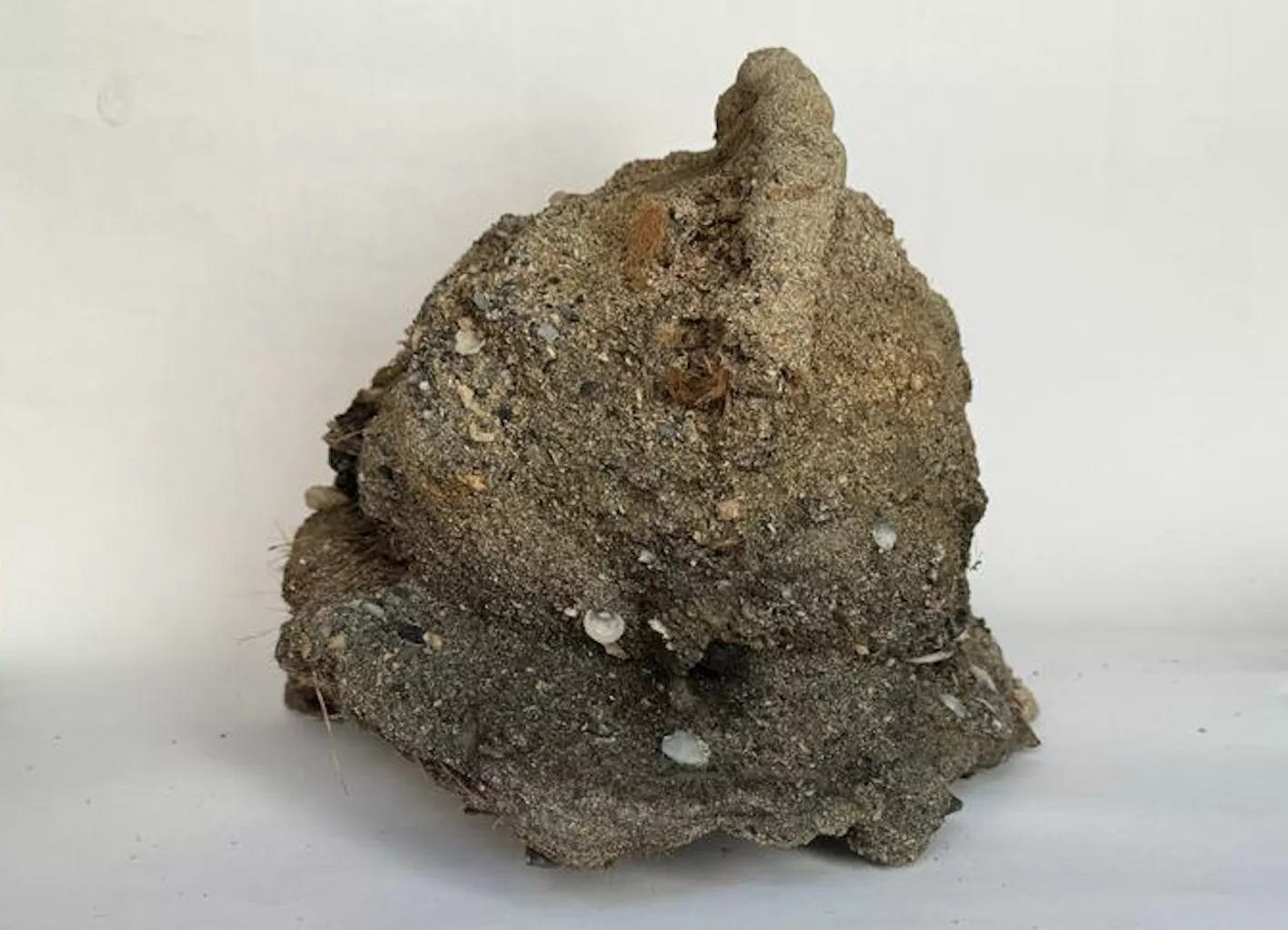 Shipwreck Mystery Teased by Divers' Helmet Discovery - Vimarsana News