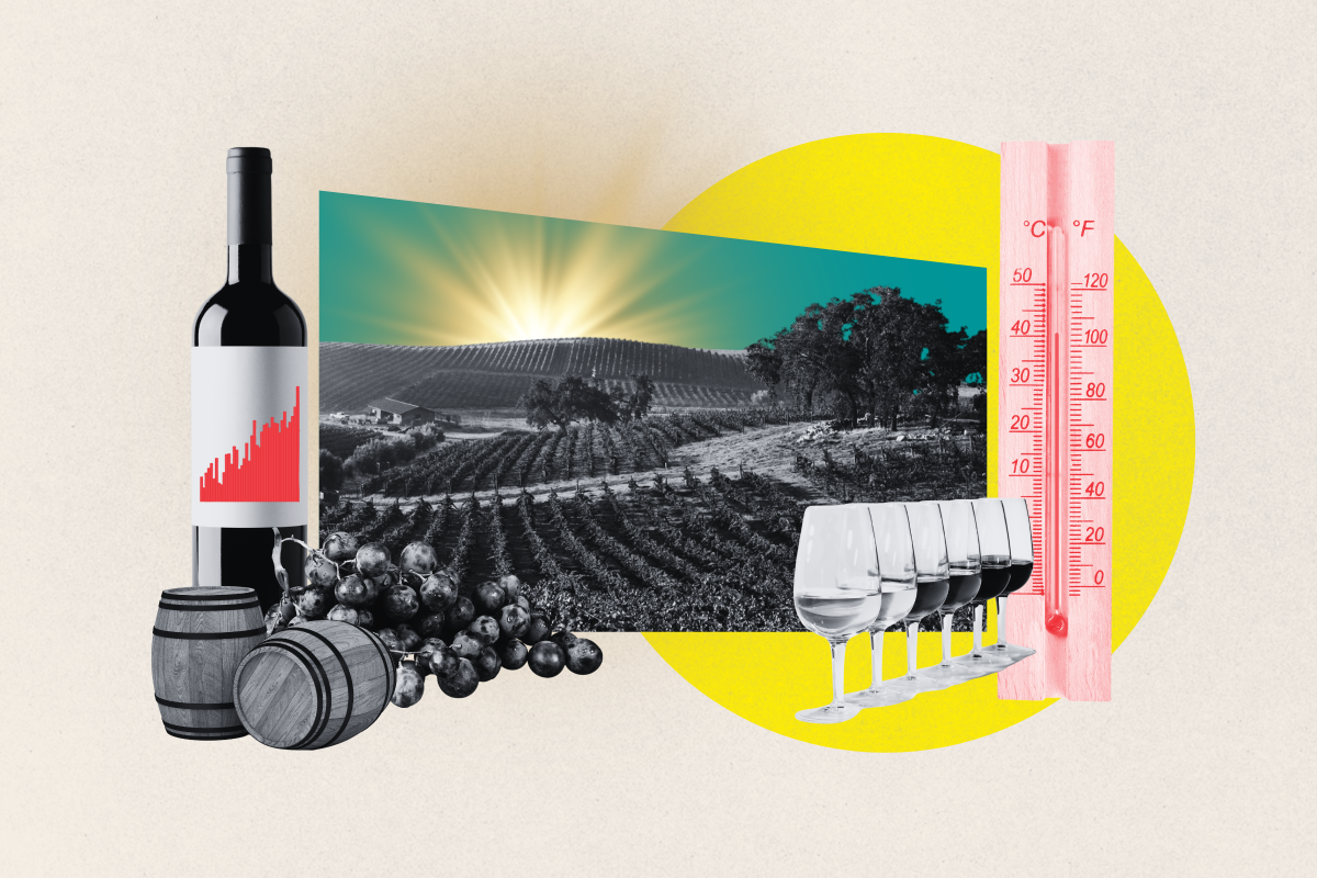 Wineries & Climate
