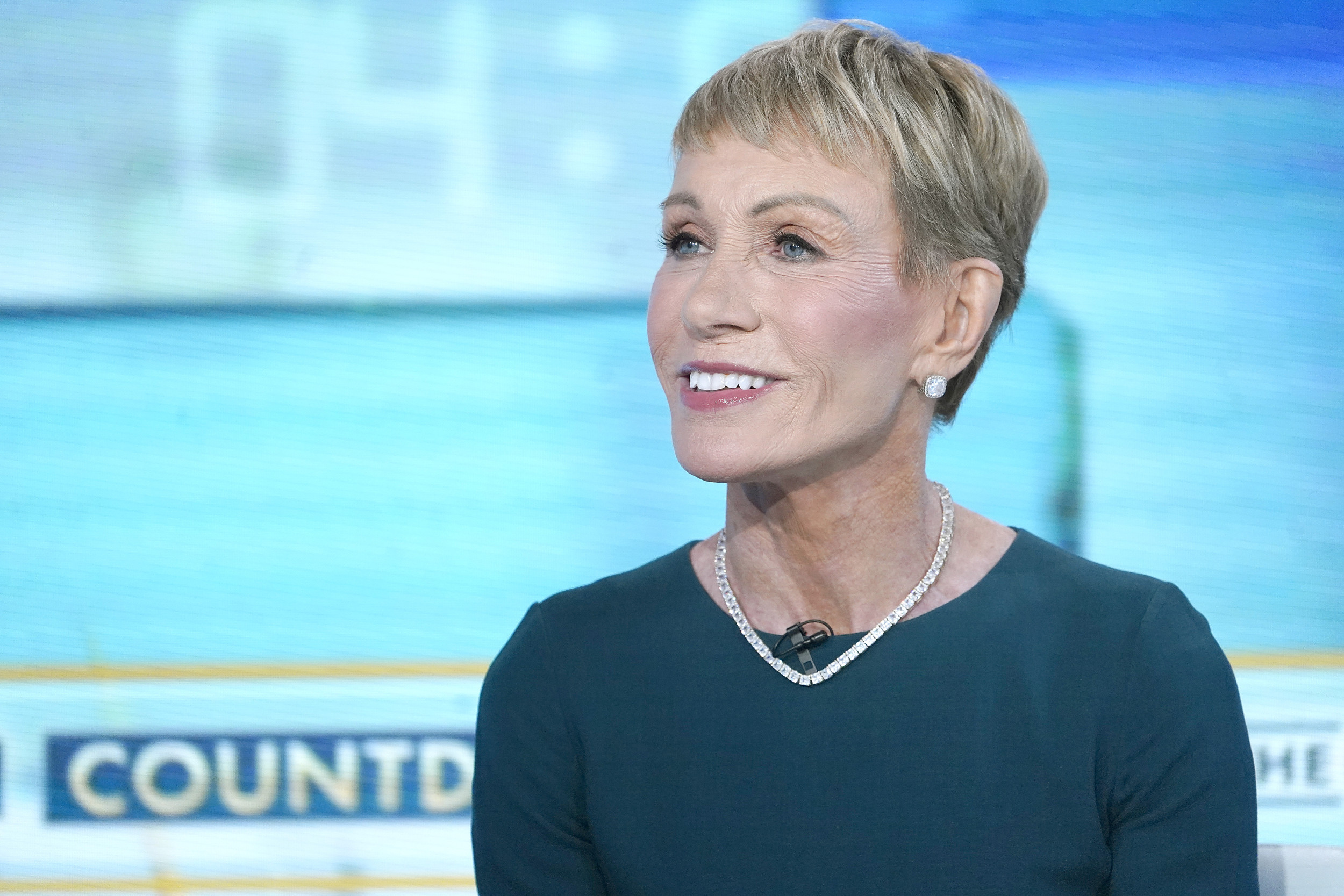 Barbara corcoran on say yes to the dress best sale