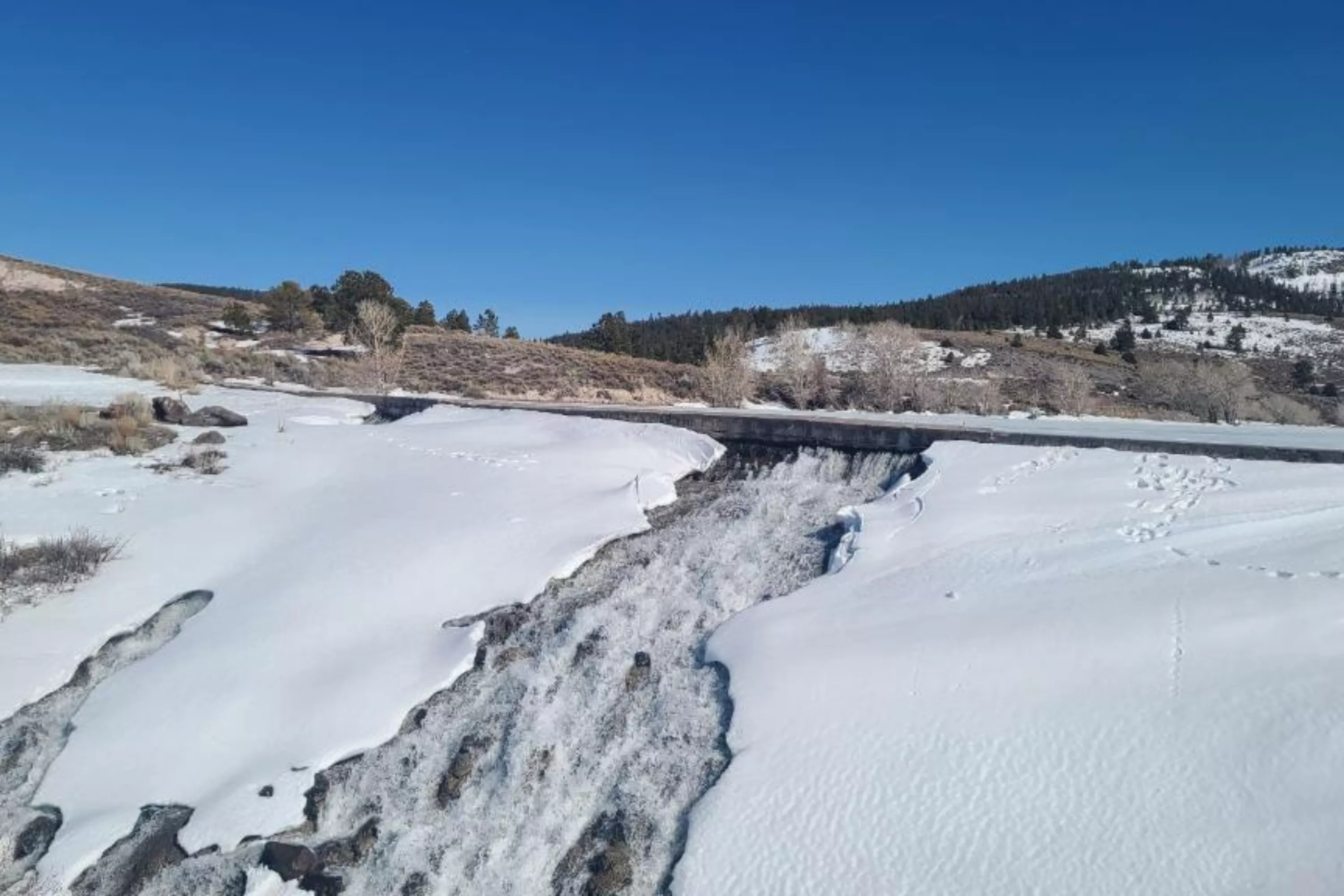 Dam Starts to Leak After 60-Foot Crack Sparks Urgent Warning - Vimarsana News
