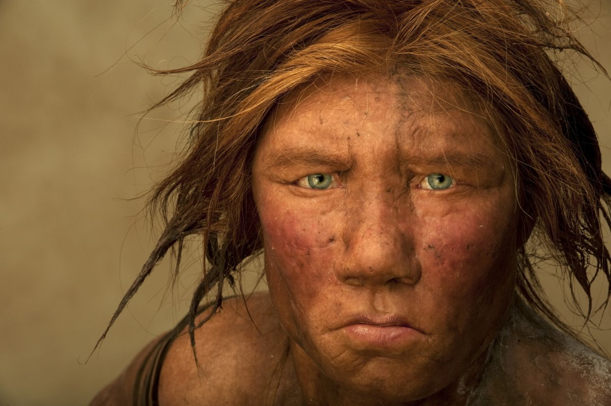 A reconstruction of a female Neanderthal