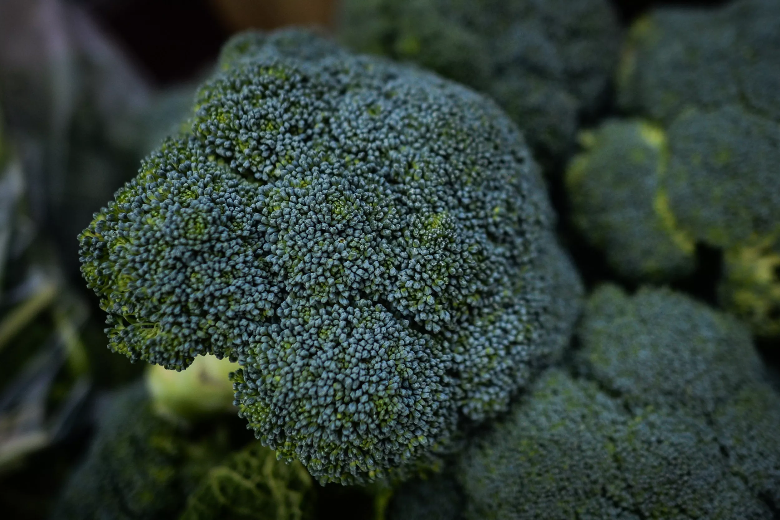 Broccoli Recall as Life-Threatening Warning Issued - Vimarsana News