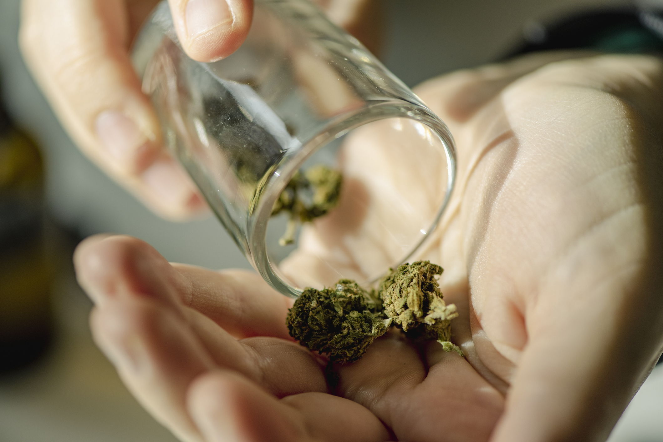 US Marijuana Industry Hits All-Time High