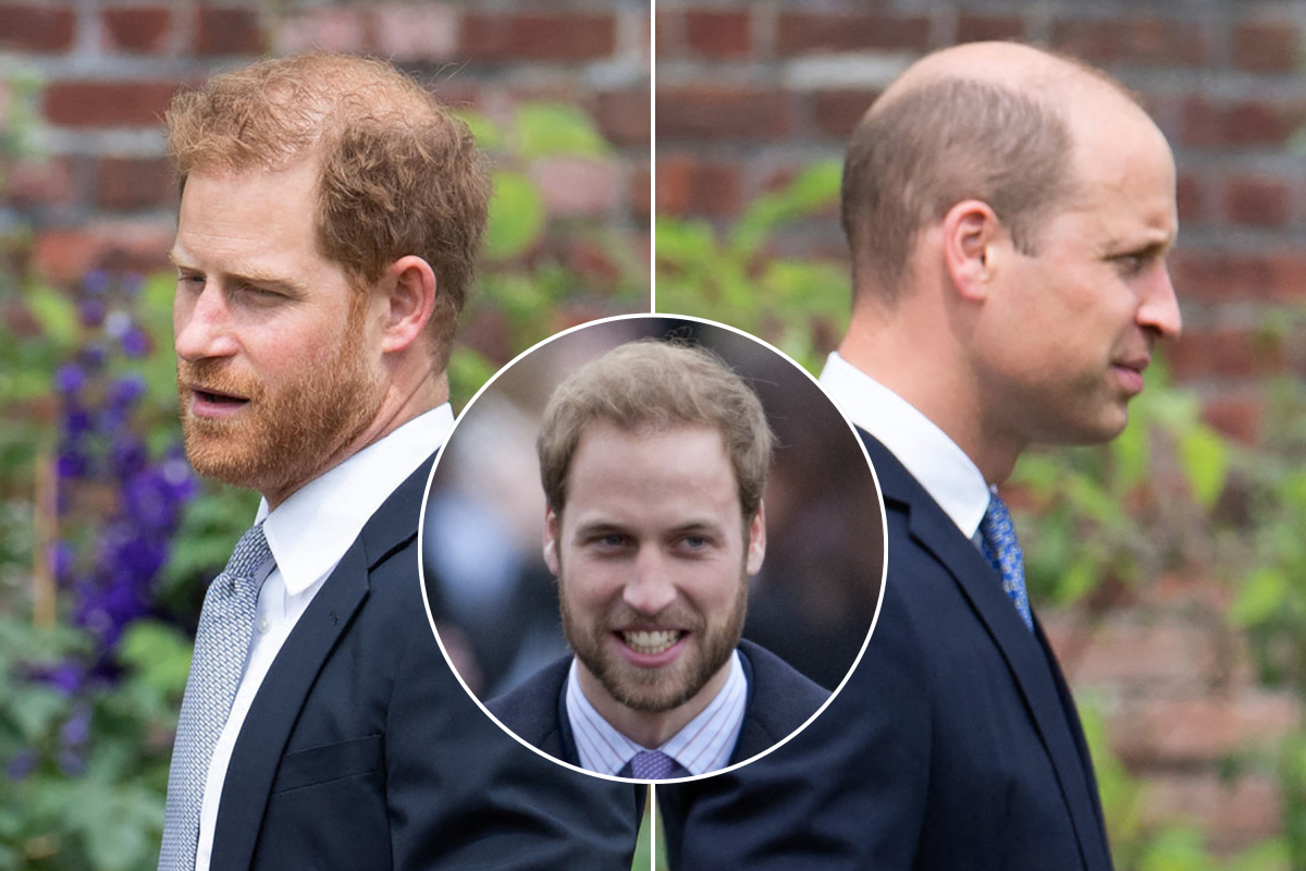 Prince William and Prince Harry Beards