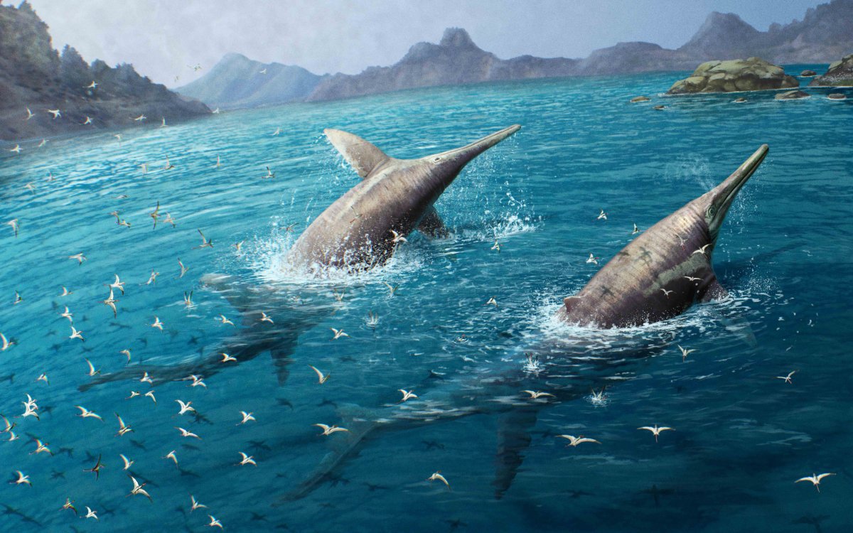 A pair of swimming ichthyosaurs