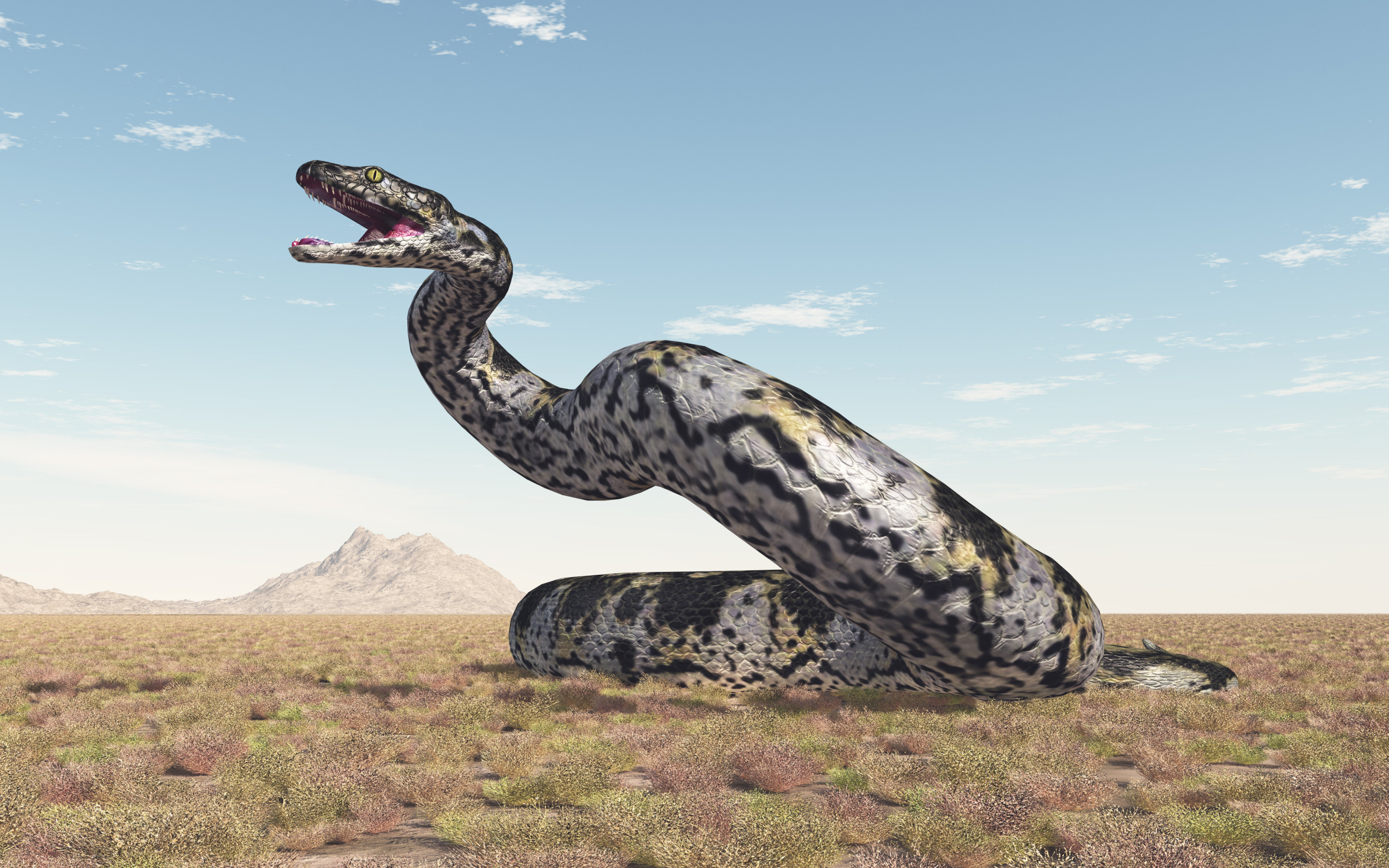 Des paléontologues découvrent un serpent fossile « exceptionnellement grand »