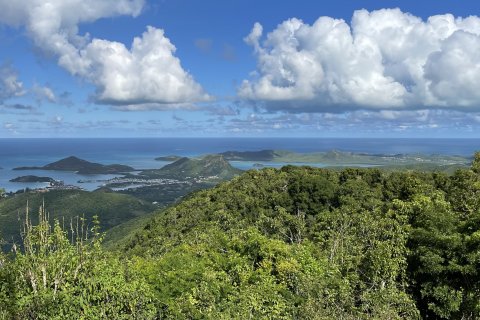 Trouble in Paradise: Antigua and Barbuda