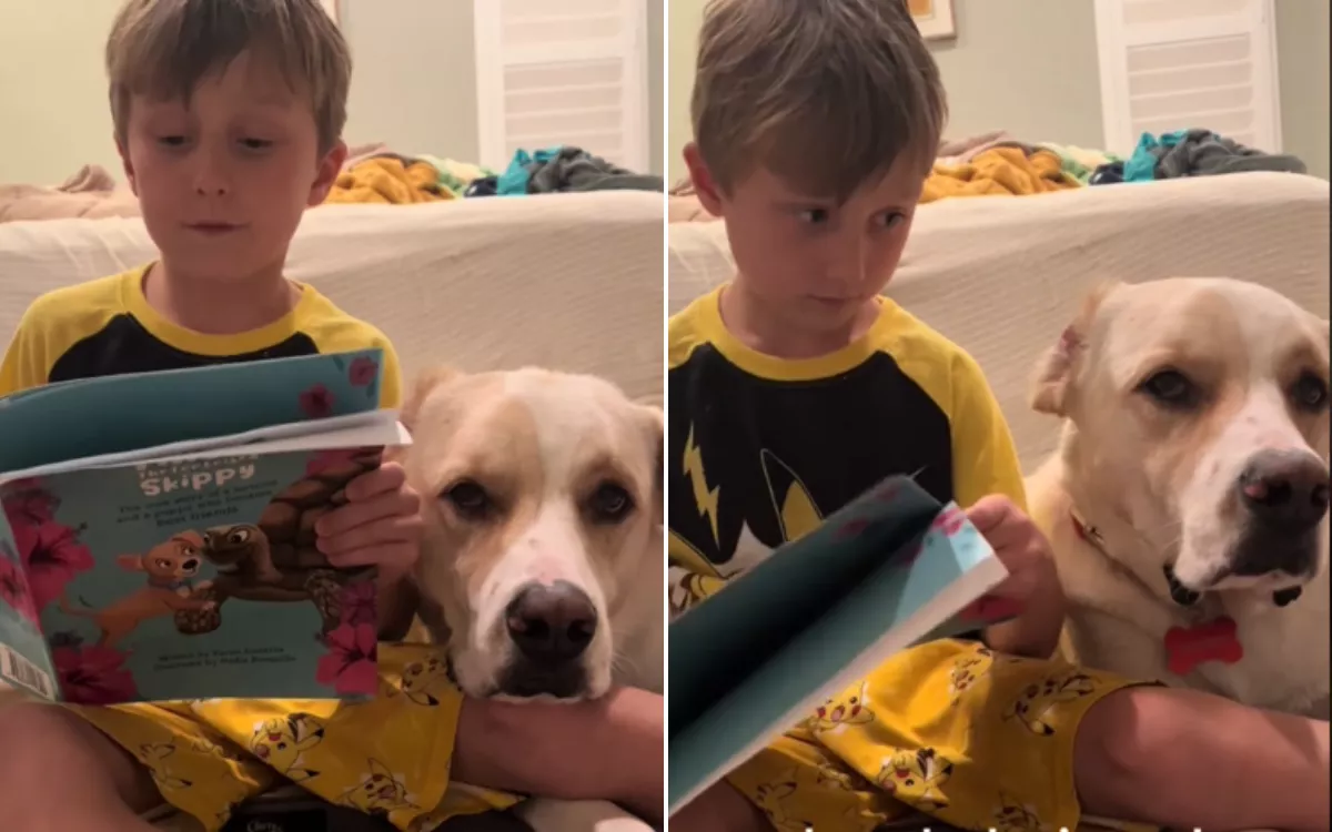 Shy Boy With Dyslexia Finds Confidence to Read to His Disabled Rescue Dog - Vimarsana News