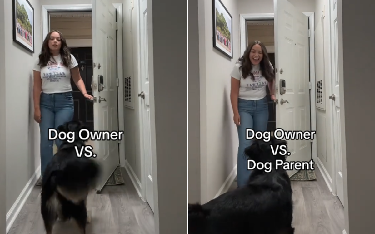 Woman explains key differences between being a dog parent vs. owner