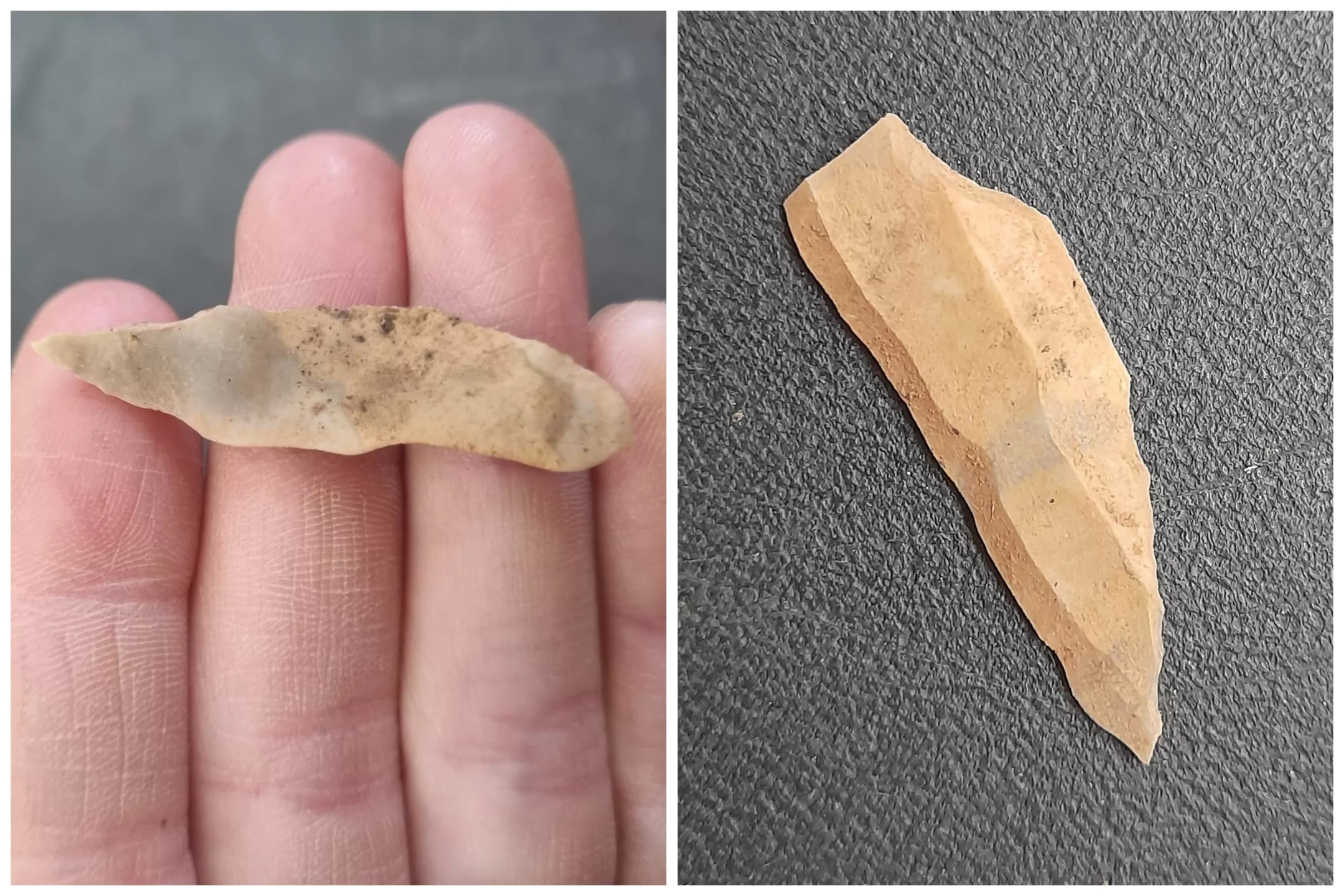 'Truly Significant' Paleolithic Artifacts Discovered During Highway Works - Vimarsana News