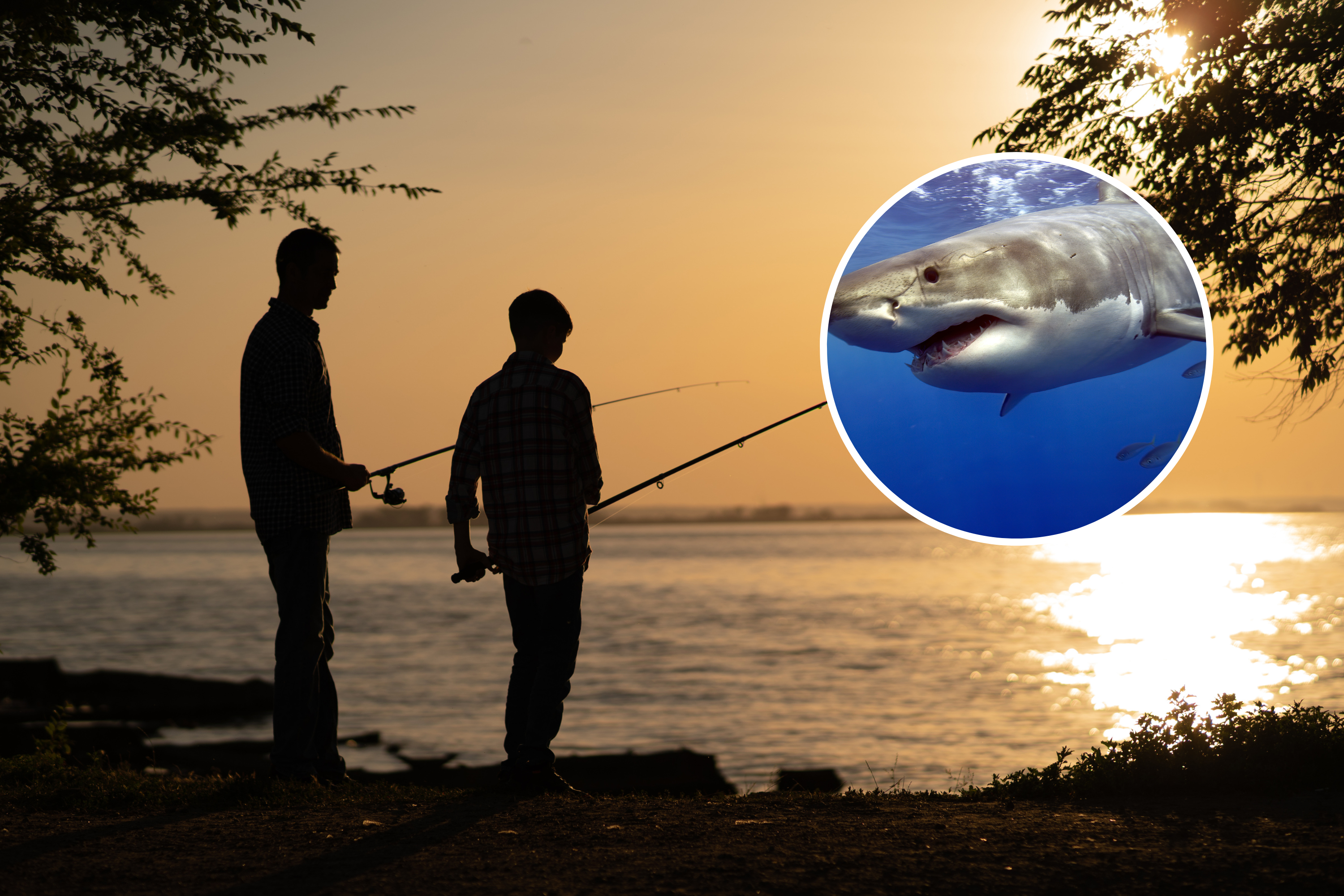 Un père arrache la gueule d’un requin à son fils lors d’un voyage de pêche horrifique
