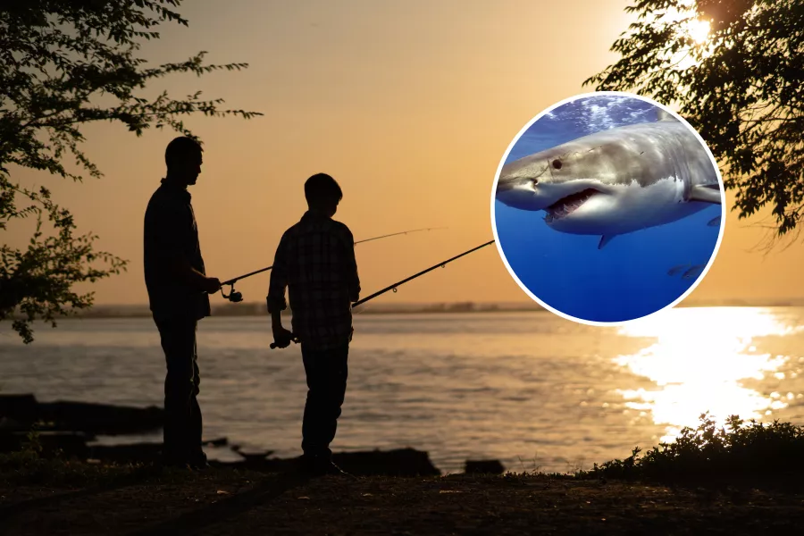 Father Rips Shark’s Mouth Off Son in Fishing Trip Horror
