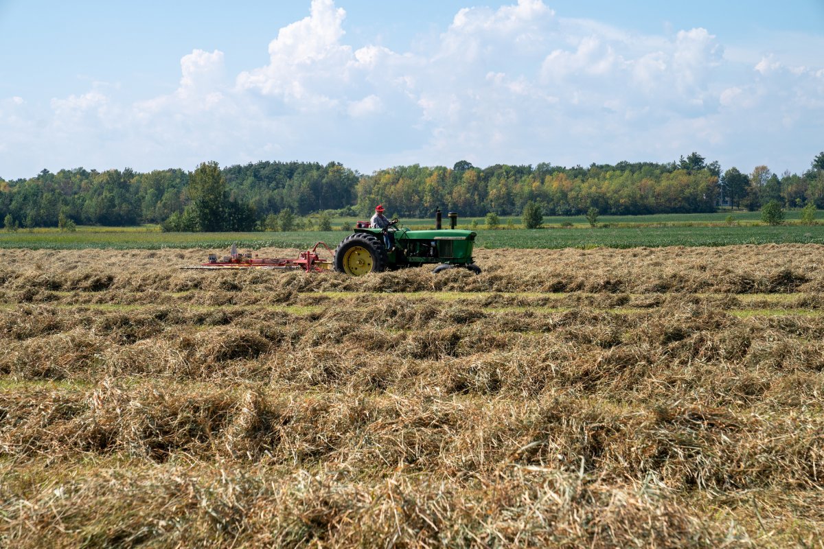 Farmer harvesting hay