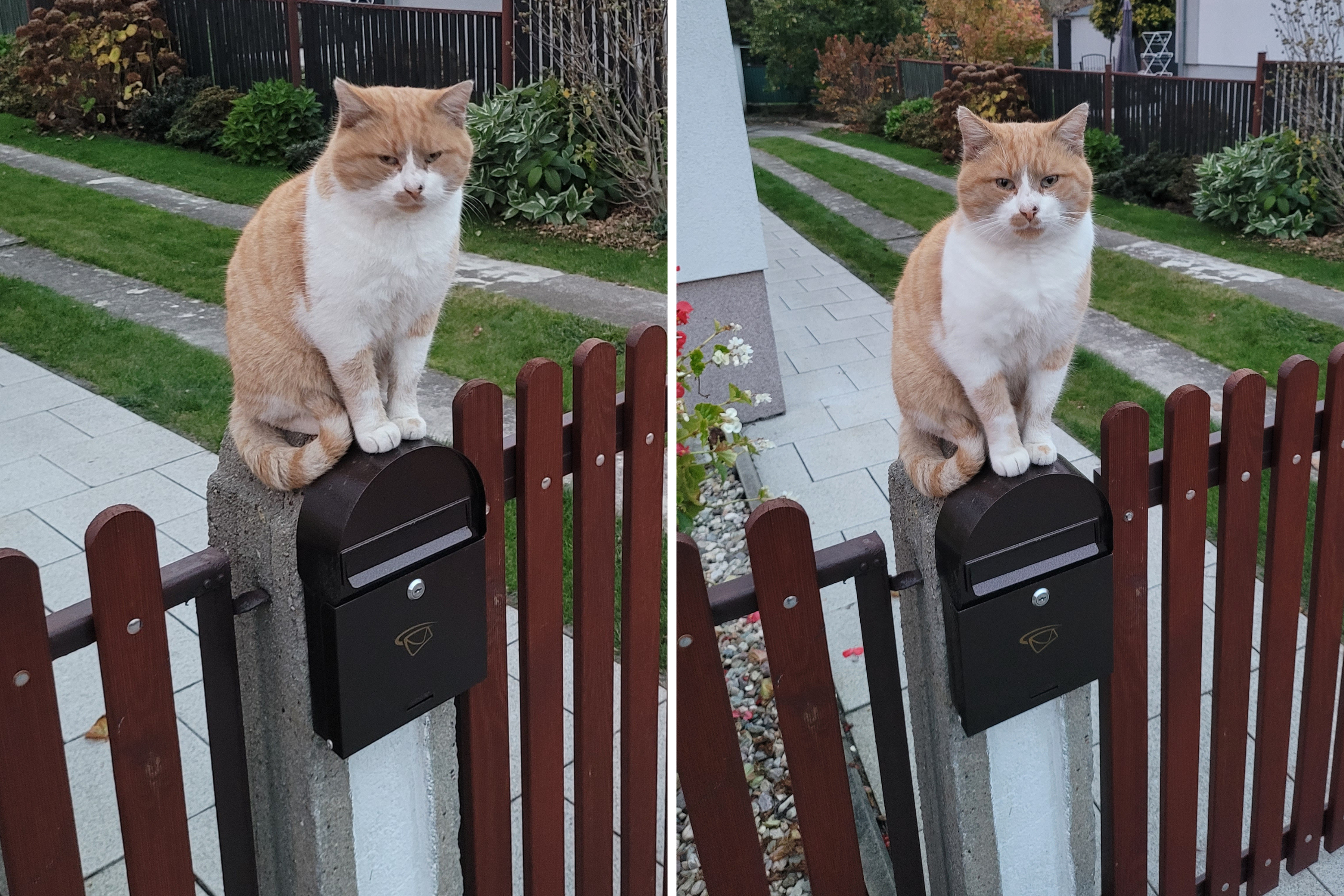 Mailman reveals the adorable reason his job isn’t as boring as people think