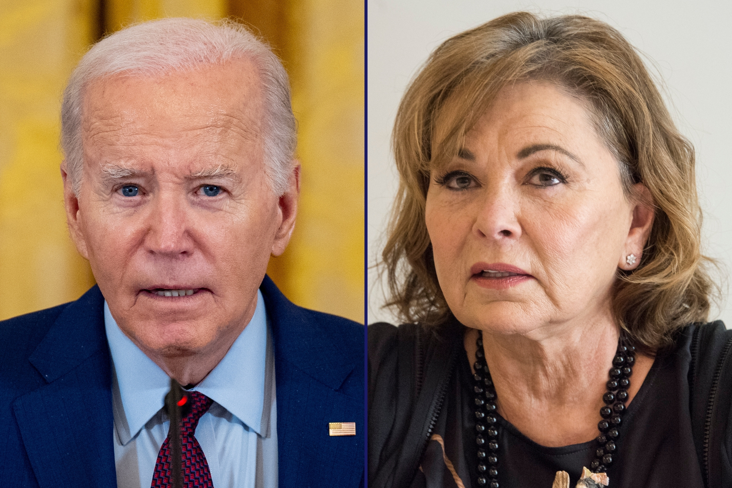 Les remarques de Joe Biden de Roseanne Barr suscitent la fureur