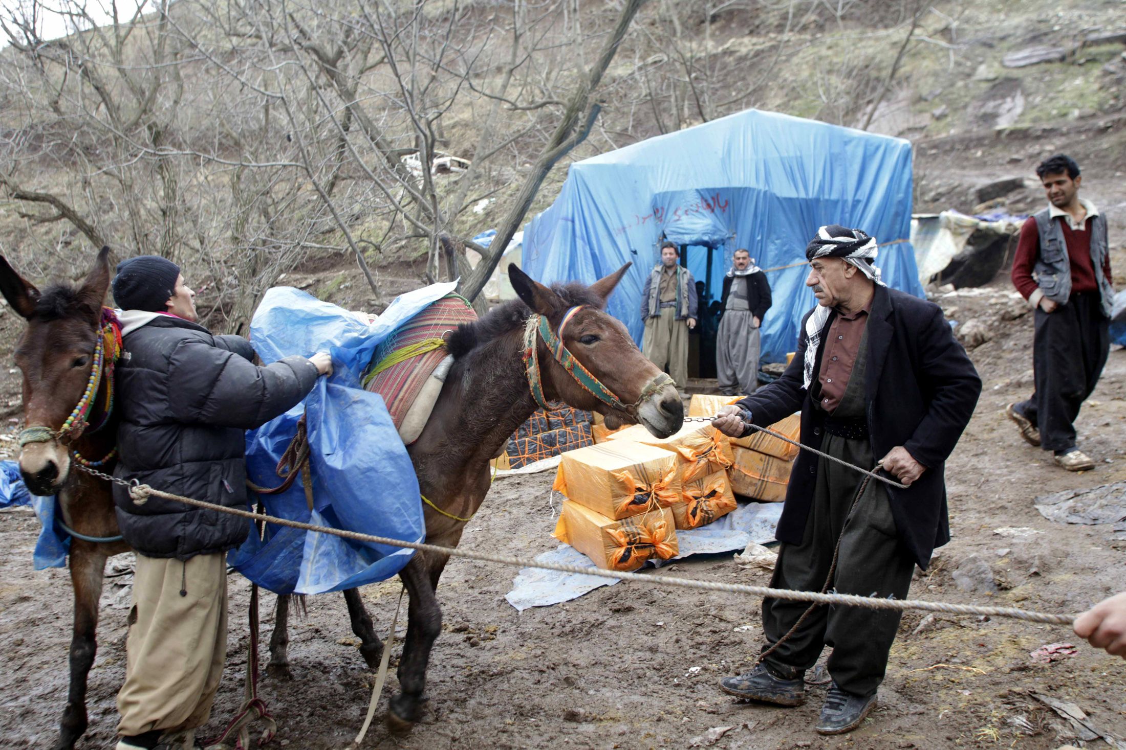 Moonshine Is Just a Phone Call Away in Islamic Iran Newsweek