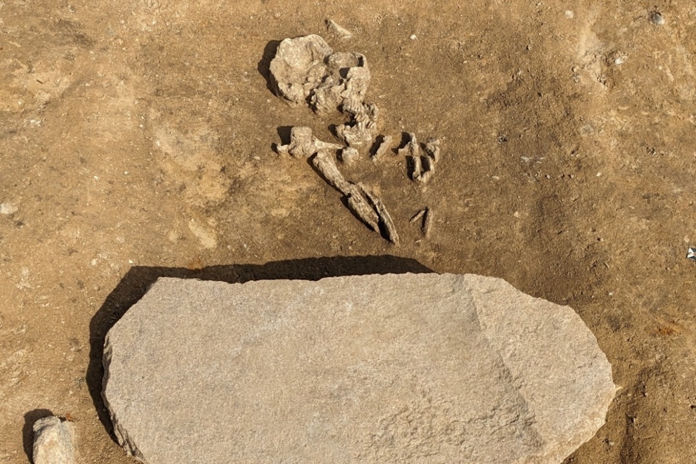 Des archéologues découvrent la tombe d’anciens « zombies » recherchés pour toujours