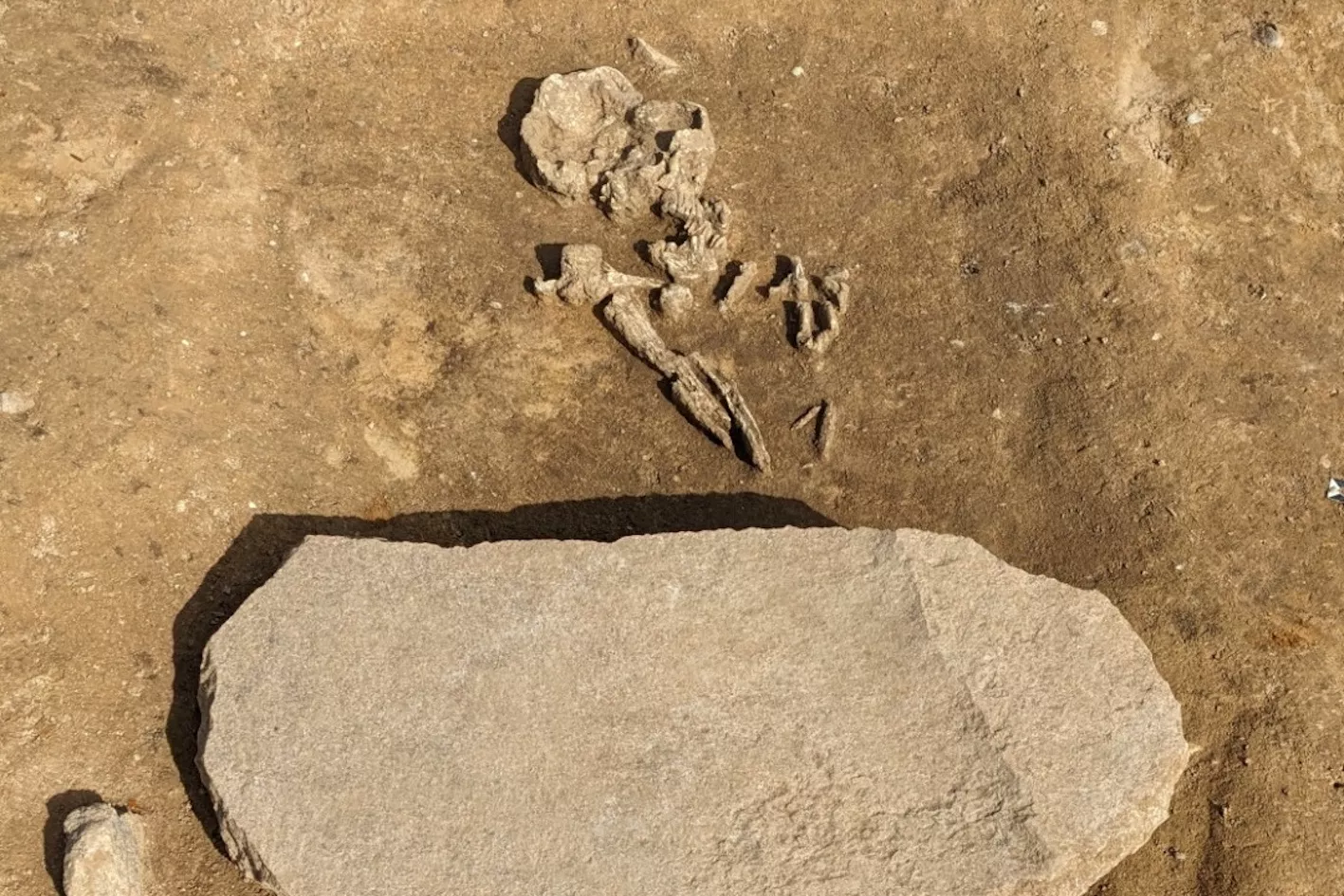 Archaeologists Find Grave of 'Zombie' That Ancients Wanted Buried Forever - Vimarsana News