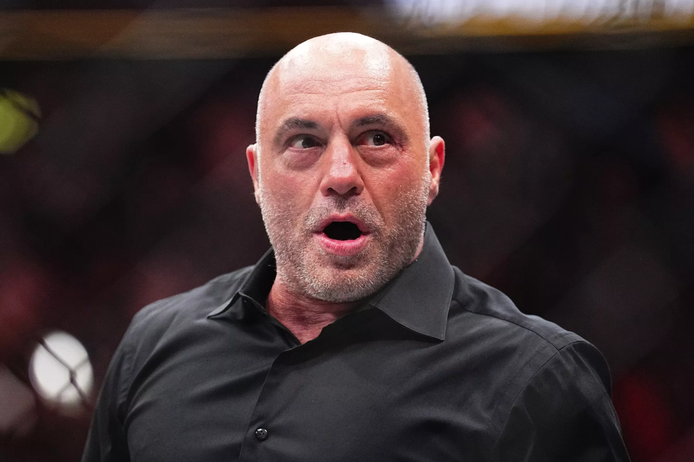 Joe Rogan Reveals What Could Be 'Game Over for the Human Race' - Vimarsana News