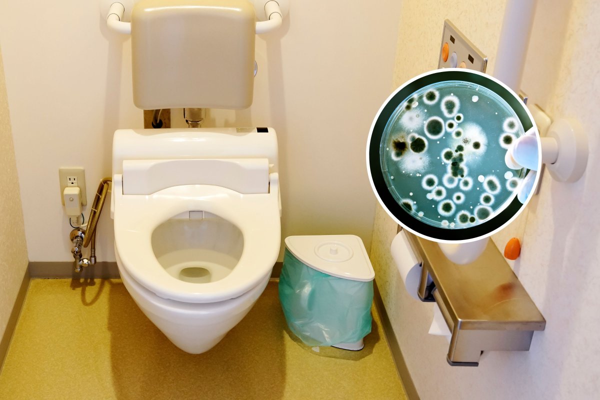 hospital toilet