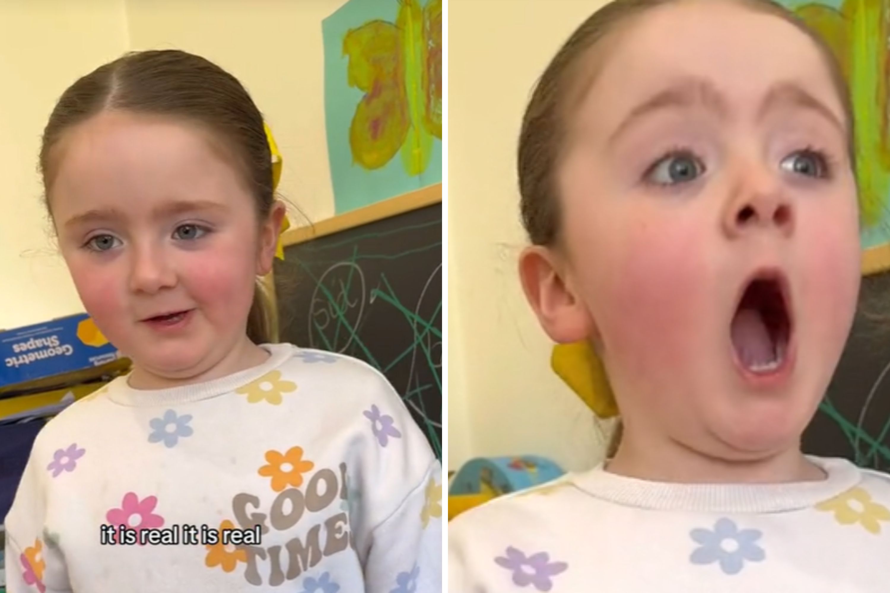 Little Girl's Lion Roar Impression Is So Good Convinced It's