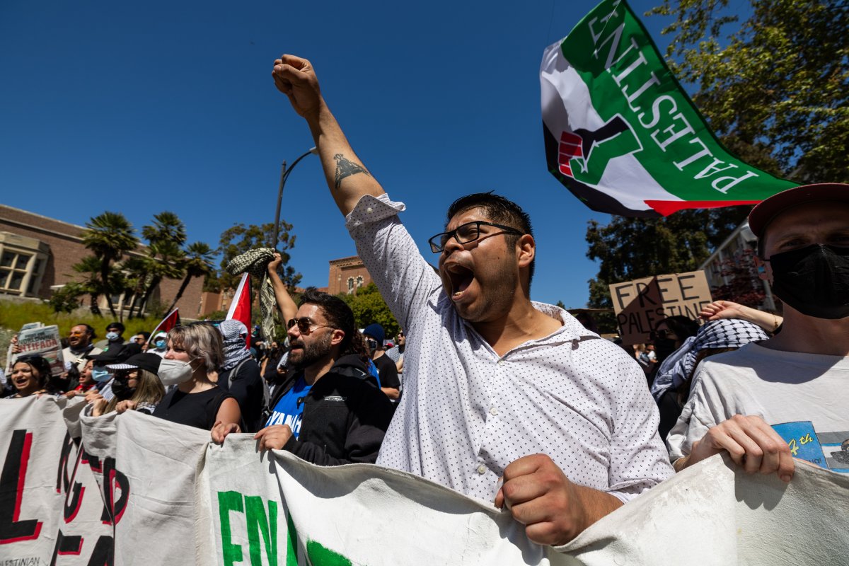 Pro-Palestinian students and activists holding Palestinian flags 