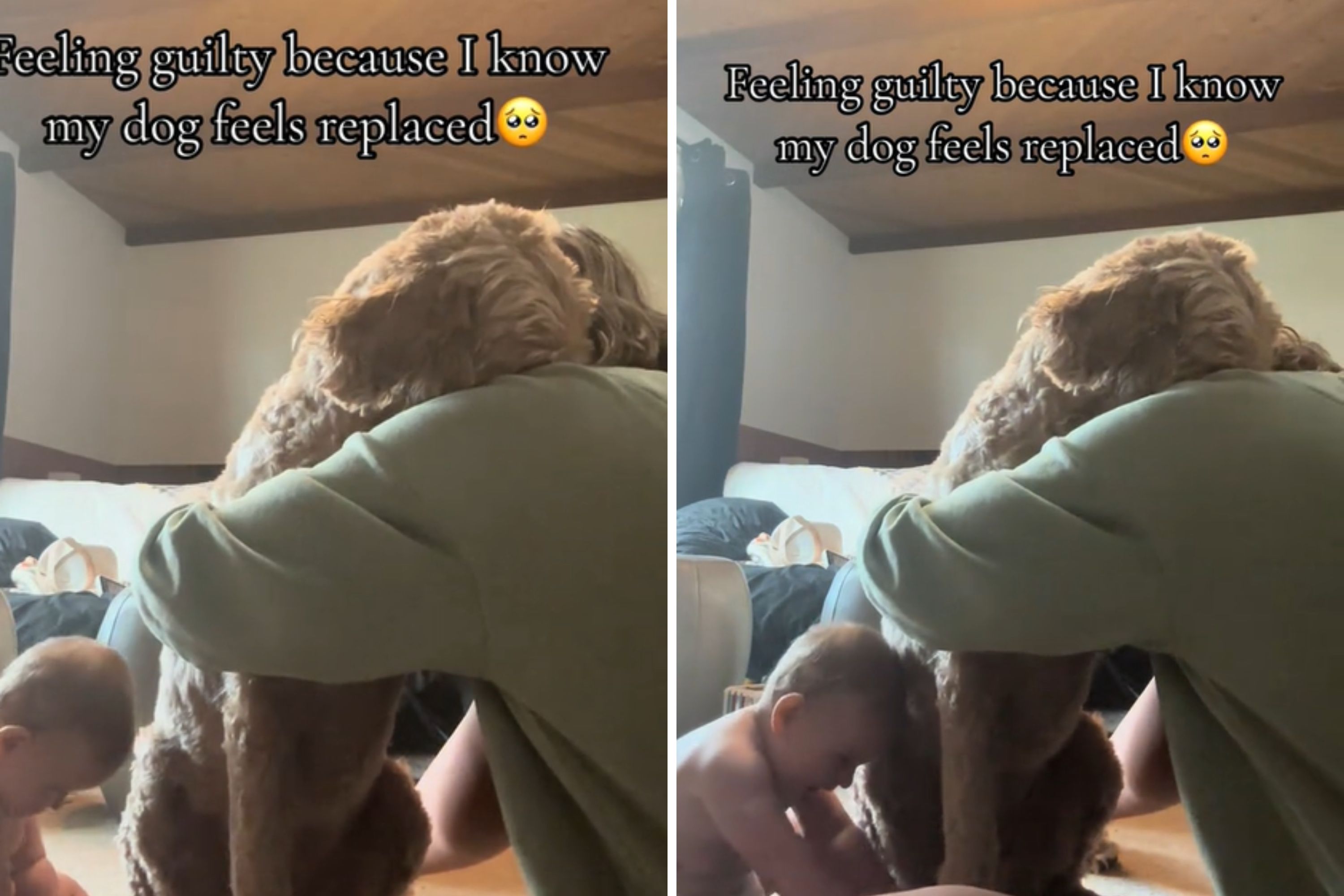 Moment Guilt Overcomes Mom Who Recognizes Her Dog Feels Replaced by Baby