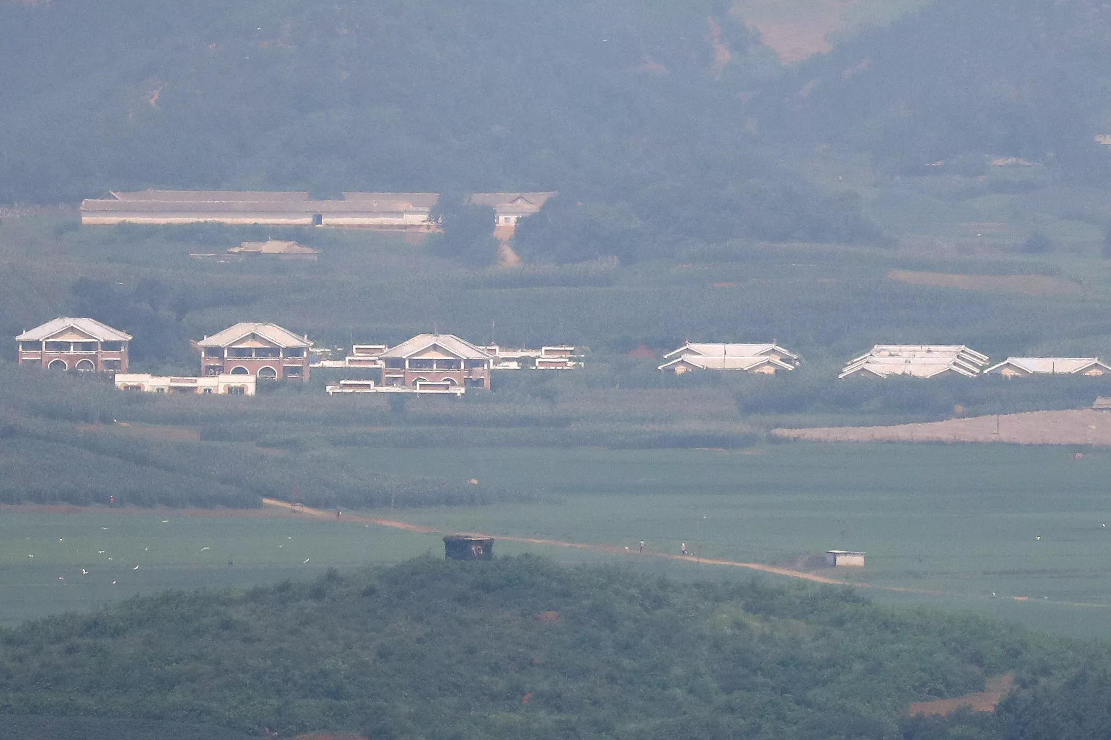 Map Shows Where North Korea Has Placed Land Mines in Demilitarized Zone - Vimarsana News
