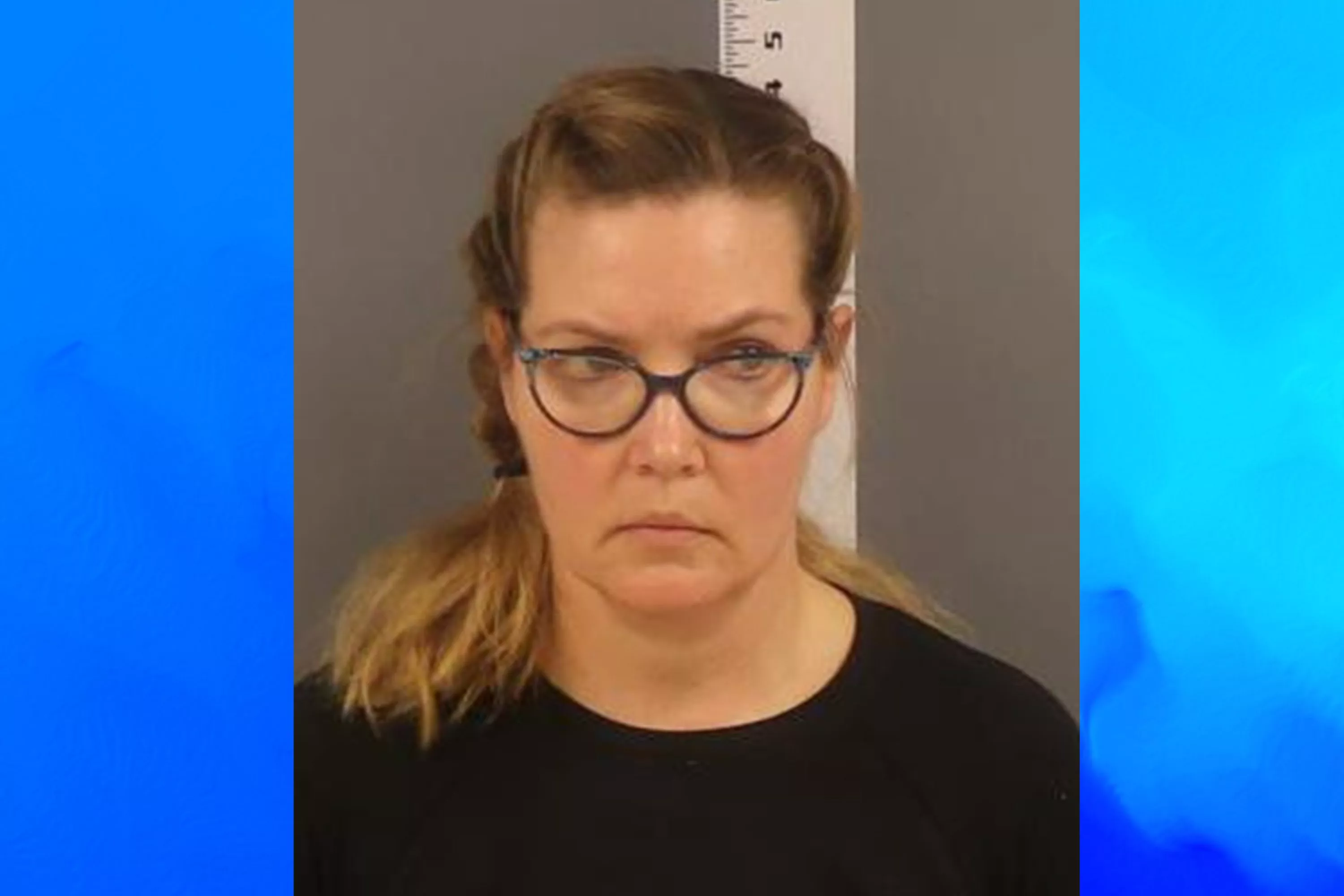 State Senator Nicole Mitchell's Burglarizing Arrest: What We Know - Vimarsana News
