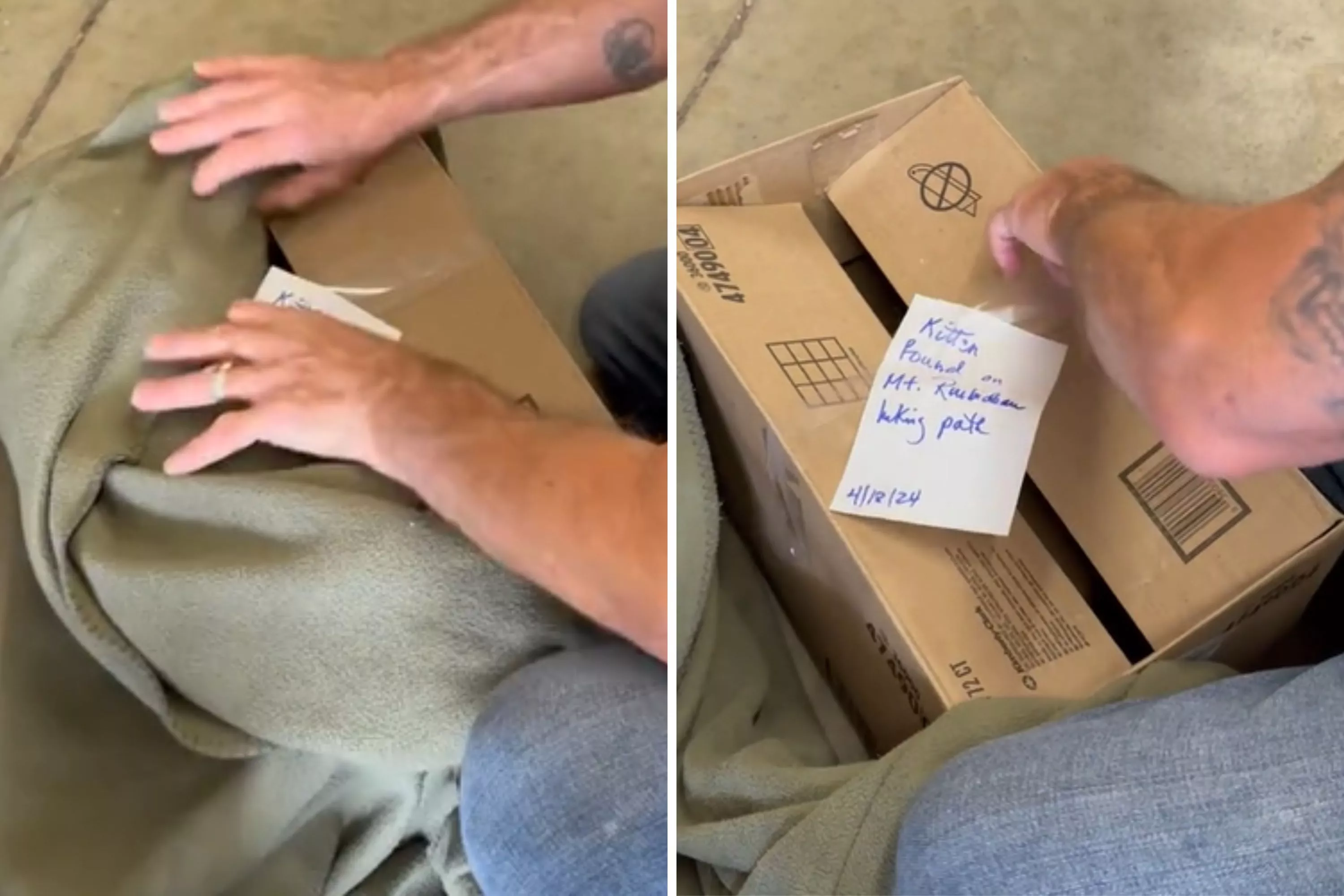 Shelter Finds Box With a Note, Opens It to Find Animal No One Expected - Vimarsana News