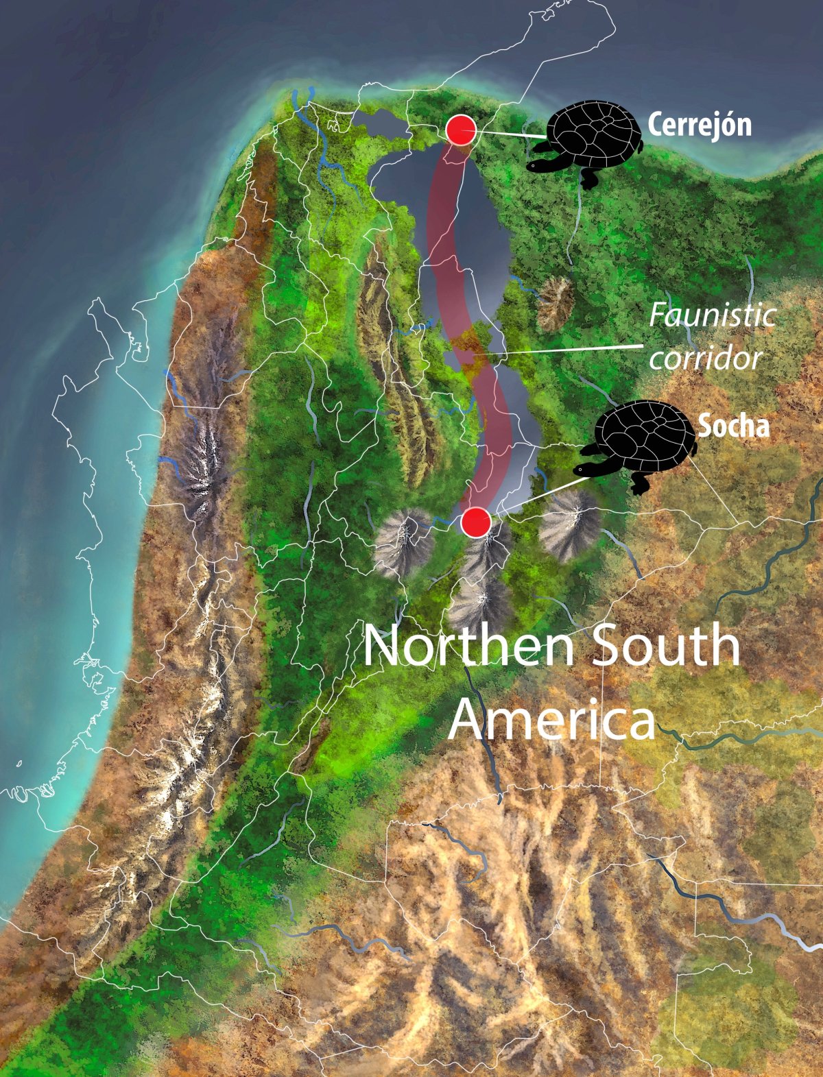 The paleoenvironment of northern South America