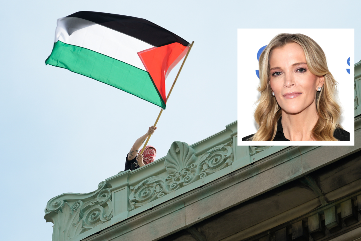 palestinian flag and megyn kelly composite