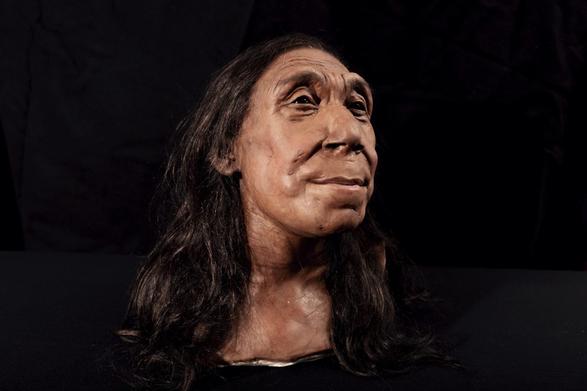 The reconstructed head of a Neanderthal woman
