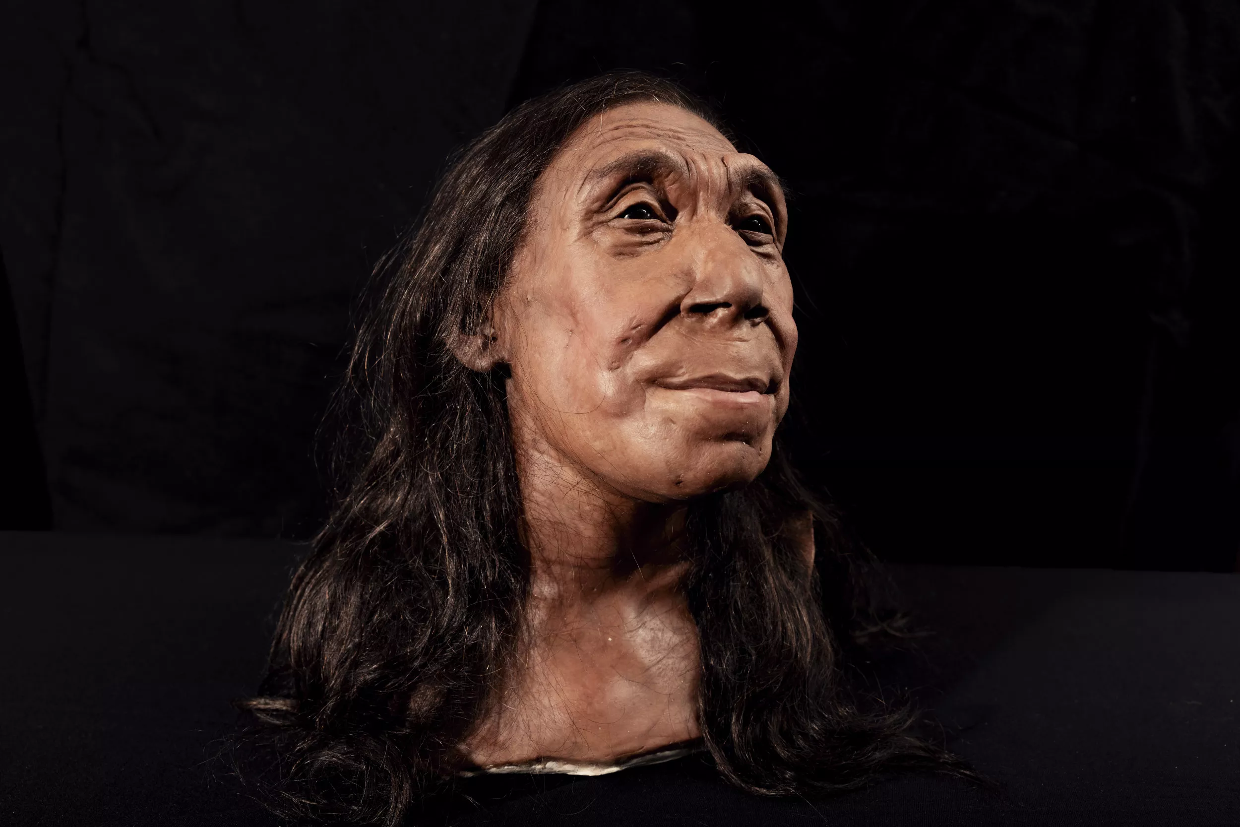 Face of Neanderthal Woman Revealed 75,000 Years Later - Vimarsana News