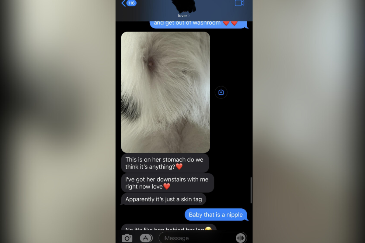 Man Thinks Cat Is Sick, Girlfriend Has To Explain Something to Him Man Thinks Cat Is Sick, Girlfriend Has To Explain Something to Him