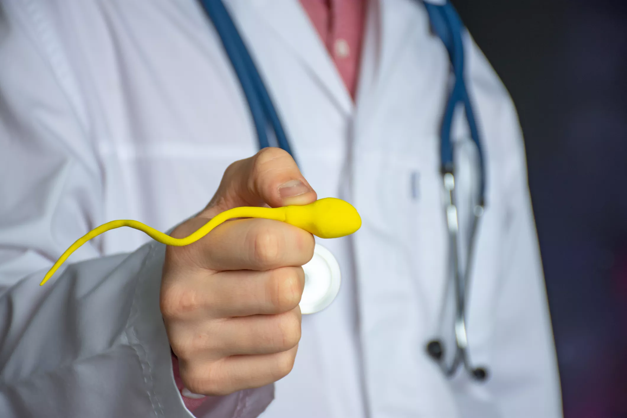 Map Reveals Best and Worst US States for Sperm Health - Vimarsana News