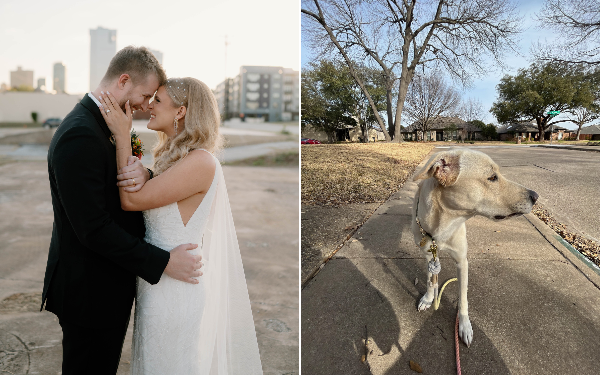 Couple find dog with broken leg days before their wedding—now he’s “family”