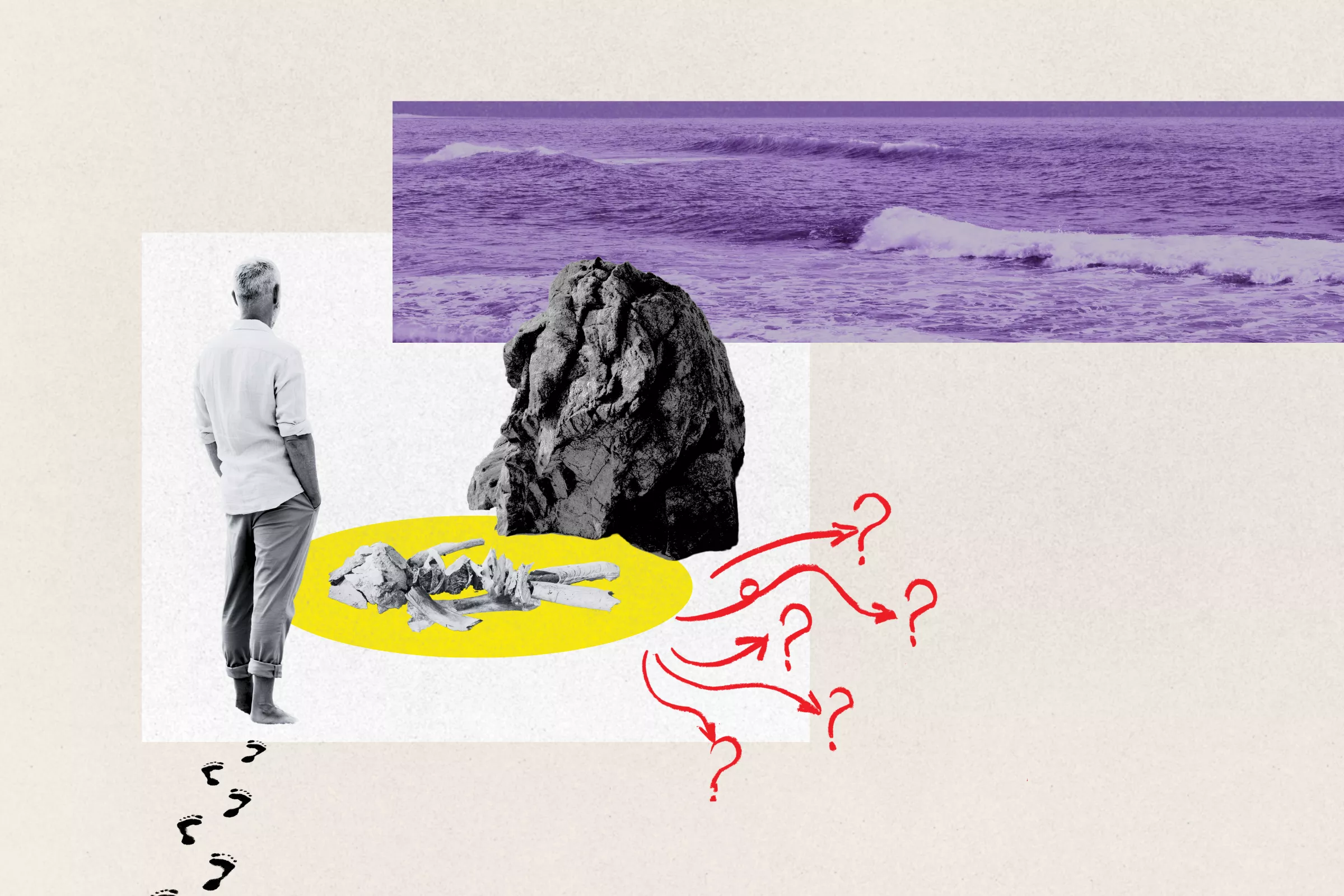 Man Stumbles Upon Human-Like Skeleton on Beach, Sparks Theories - Vimarsana News