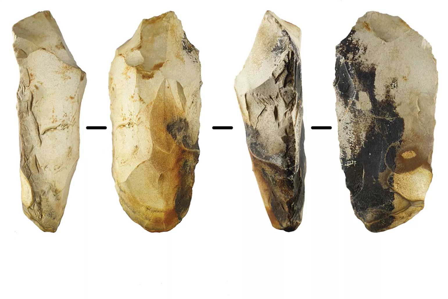 Archaeologists Find Prehistoric Settlement 'Surprisingly' Survived Crisis - Vimarsana News
