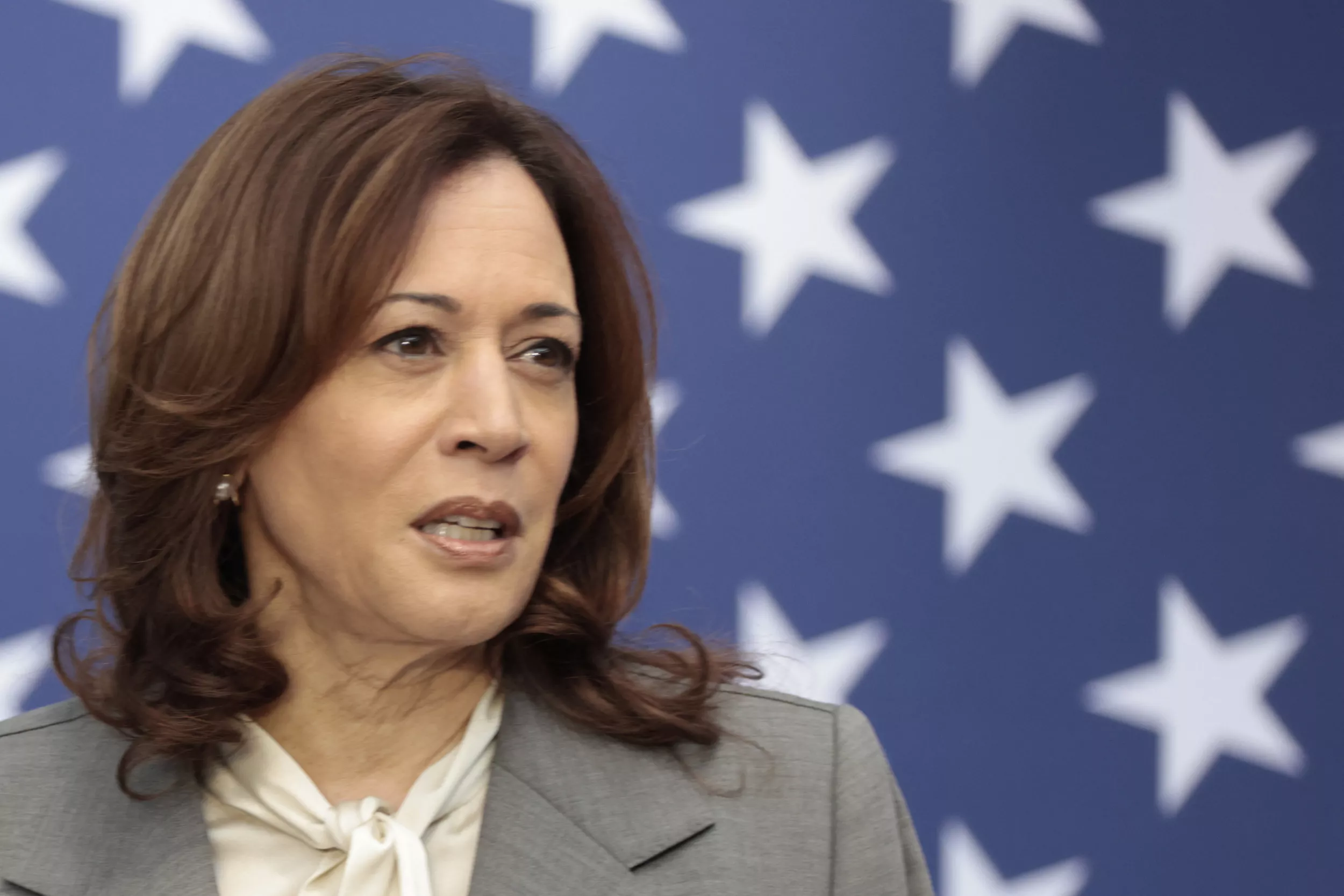 Kamala Harris Mocked for 3-Word Response, Ignoring Hamas Ceasefire Question - Vimarsana News