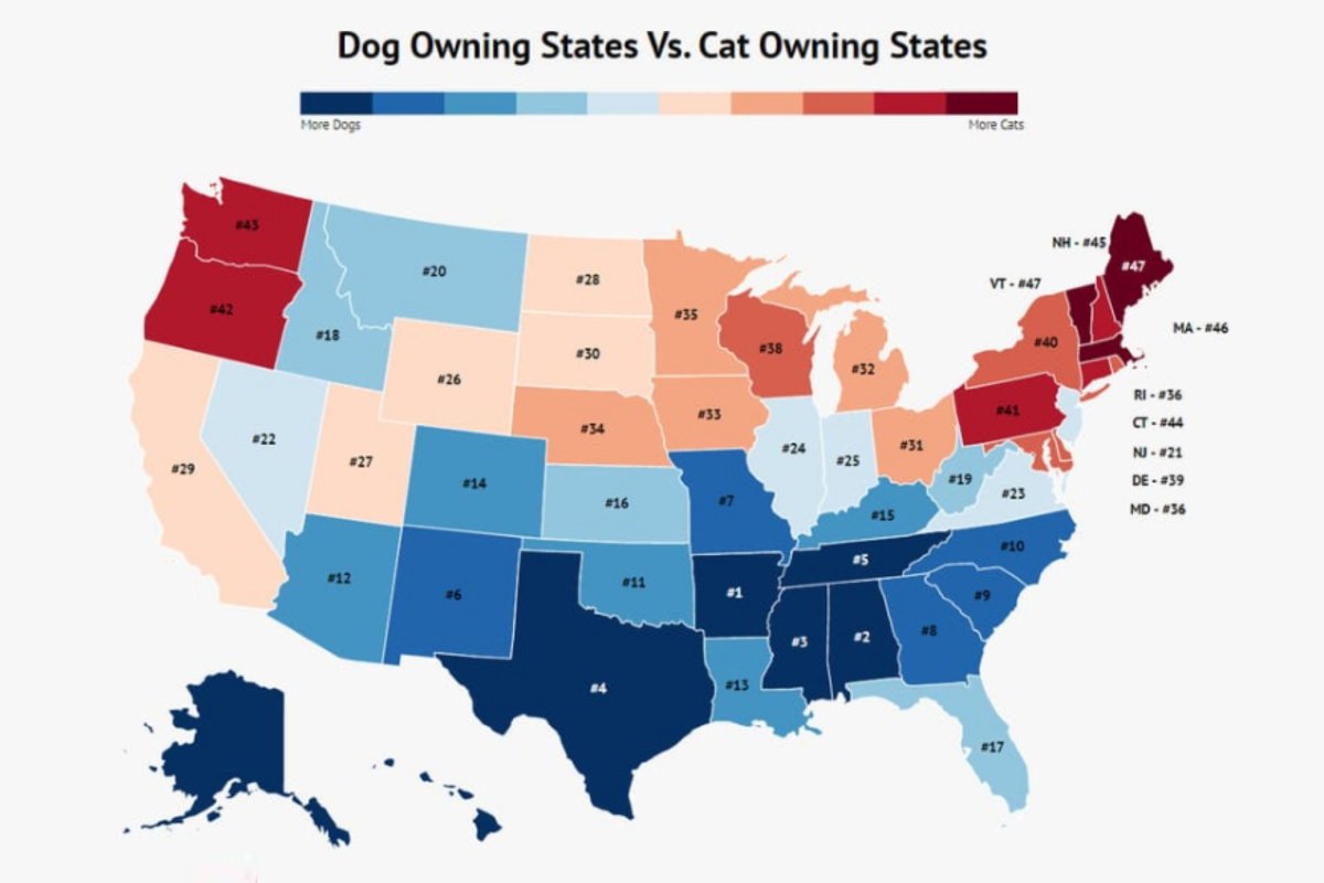 Map shows where dogs are more popular 