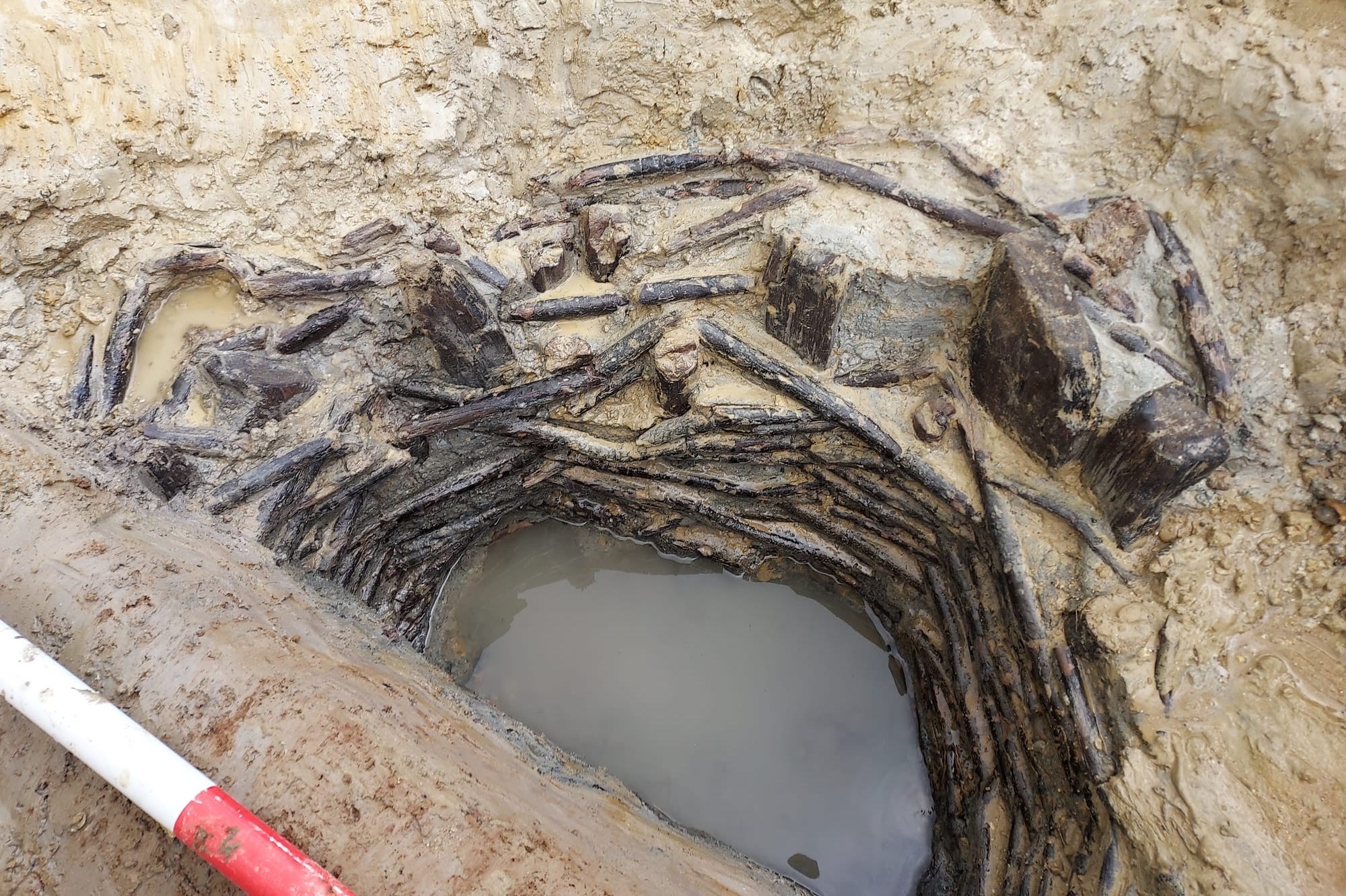 Des archéologues découvrent une structure en bois de l’âge du bronze « rare » et bien conservée