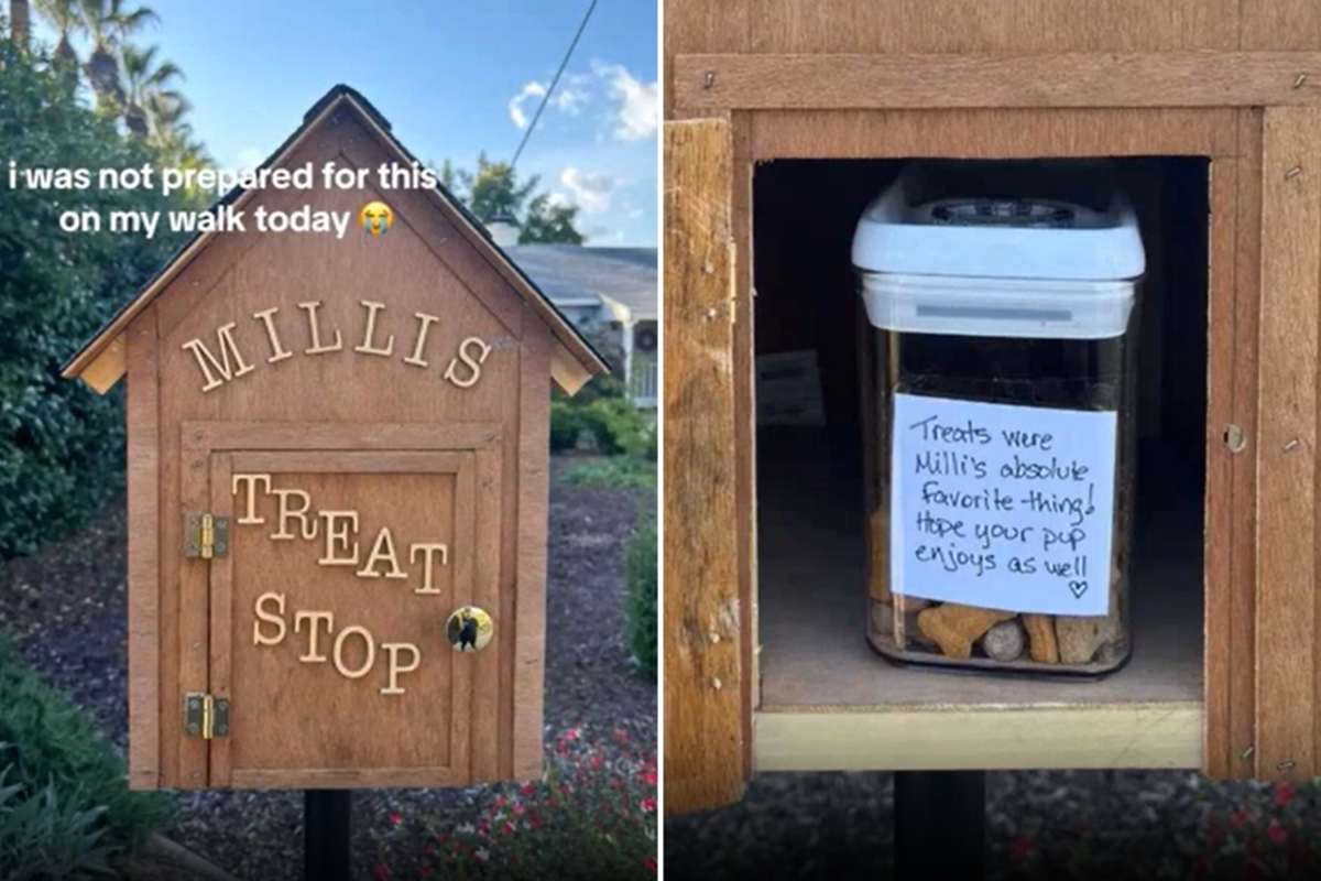 Woman Spots Dog ‘Treat Stop’ During Walk, Not Prepared for What’s Inside Woman Spots Dog ‘Treat Stop’ During Walk, Not Prepared for What’s Inside
