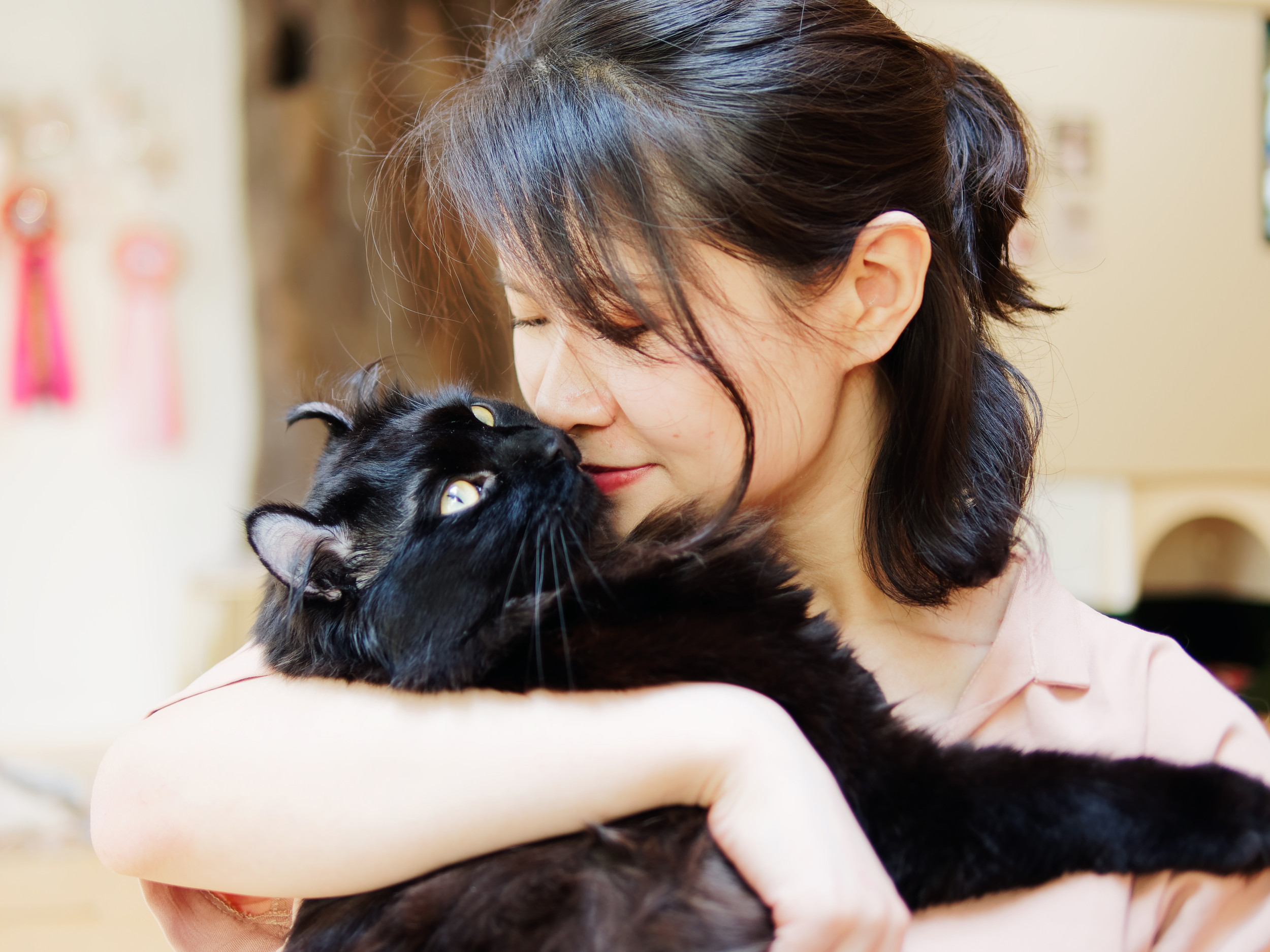 Tears as Ill Senior Cat Shows Daily Gratitude to New Adopter