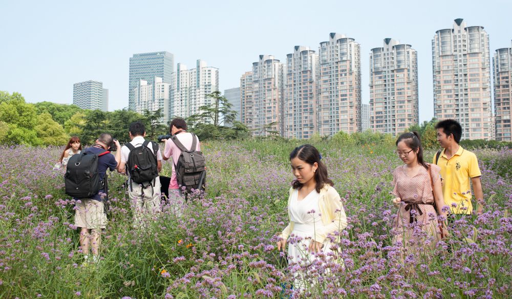 Photography phd thesis image