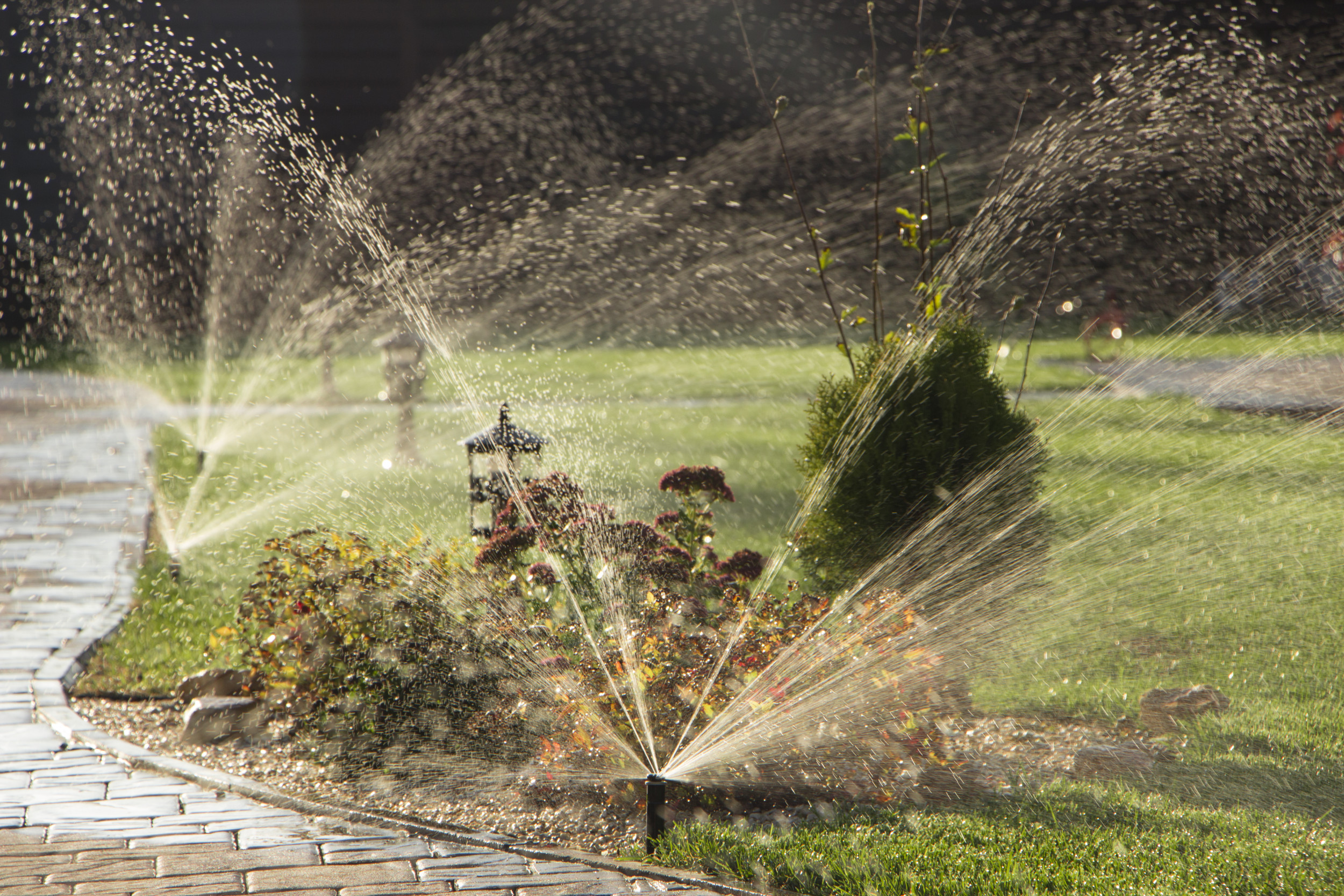 Texas City Offering Residents Up To $3,000 In New Water Program - Newsweek