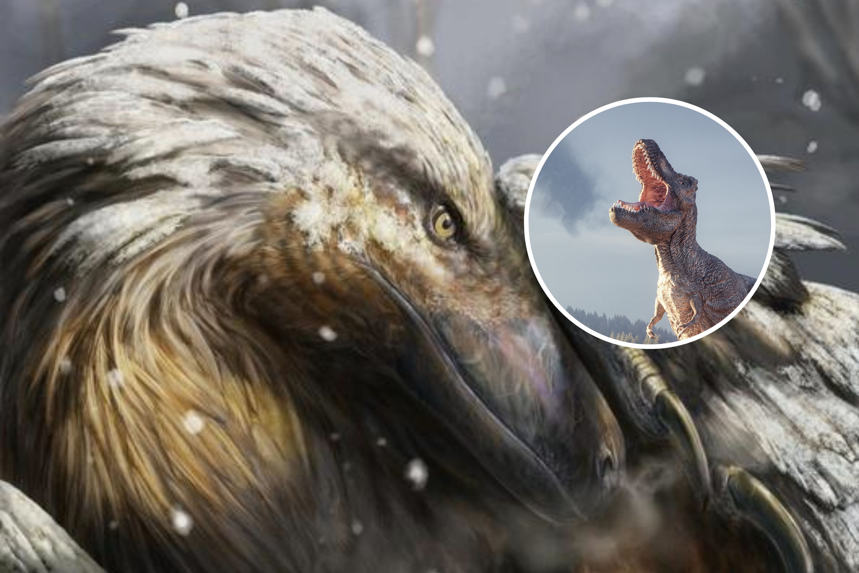 La capacité « unique » des oiseaux a évolué pour la première fois chez les dinosaures il y a 180 millions d’années