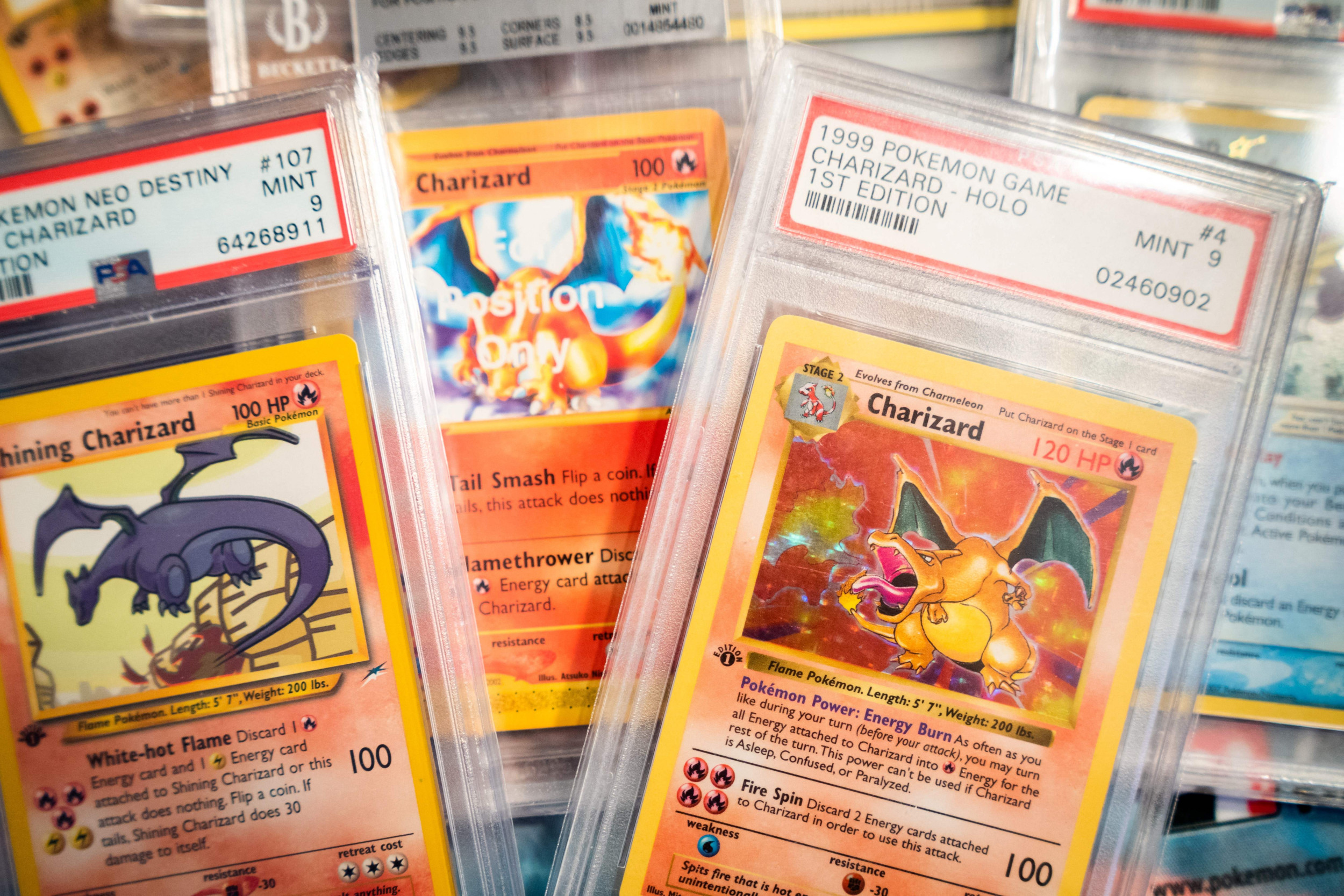 Florida Man Accused Of Stealing $30K In Pokémon Cards Foiled By Topless ...